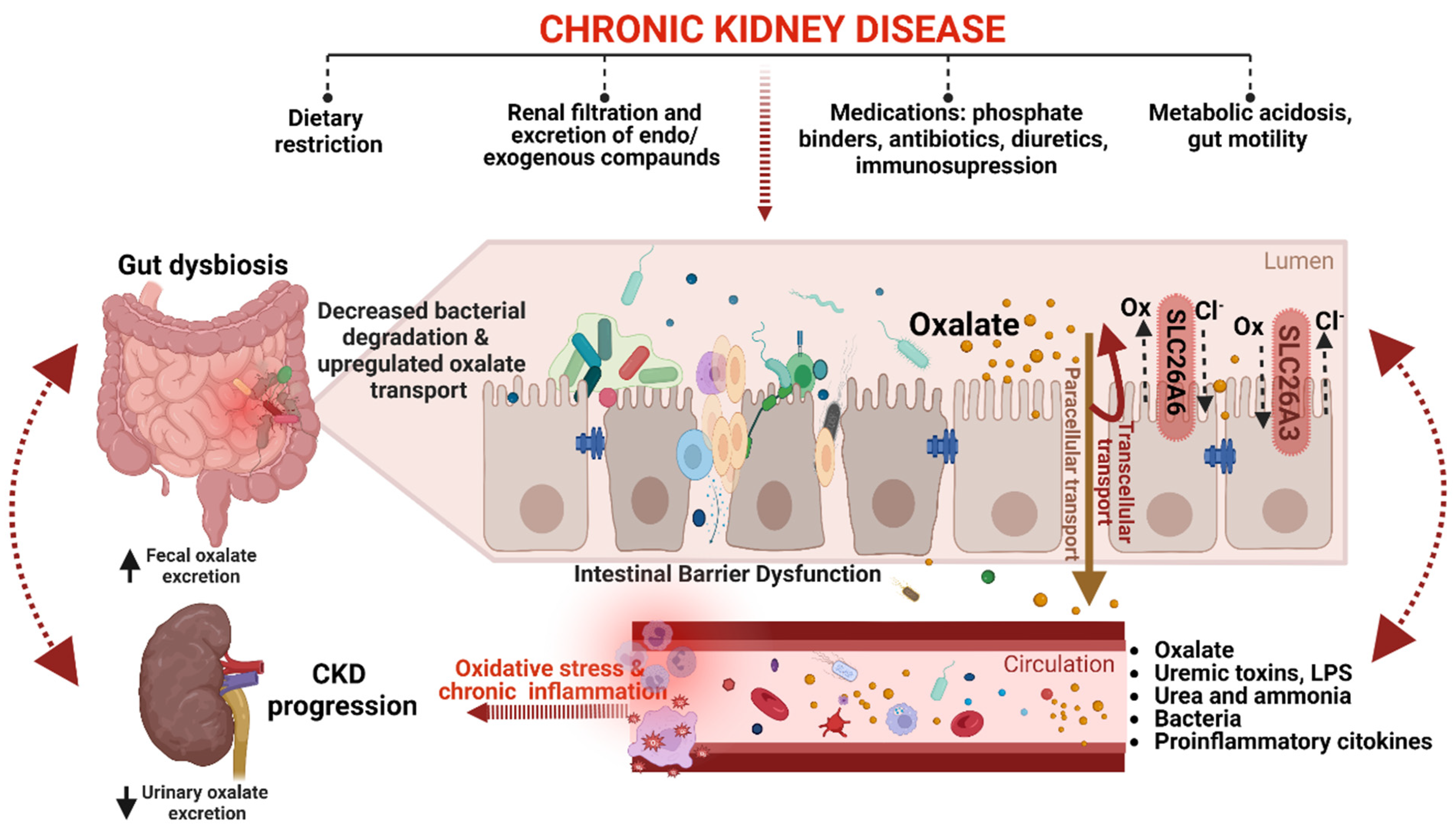 Biomedicines 11 01654 g003 Biomedicines 11 01654 g003