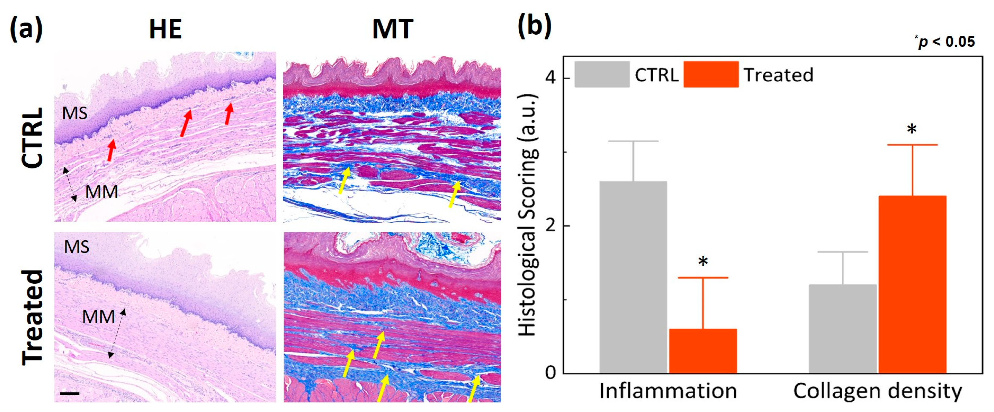 Biomedicines 11 01656 g005