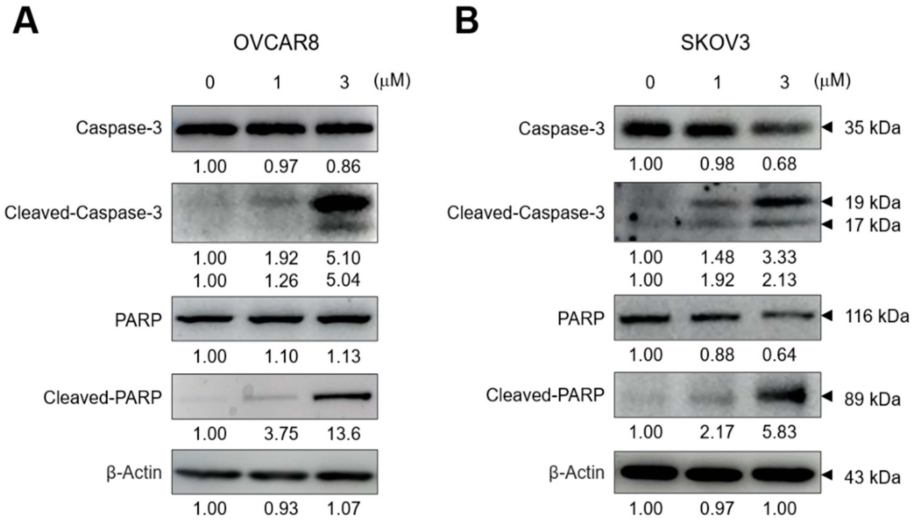 Biomedicines 11 01657 g003 Biomedicines 11 01657 g003