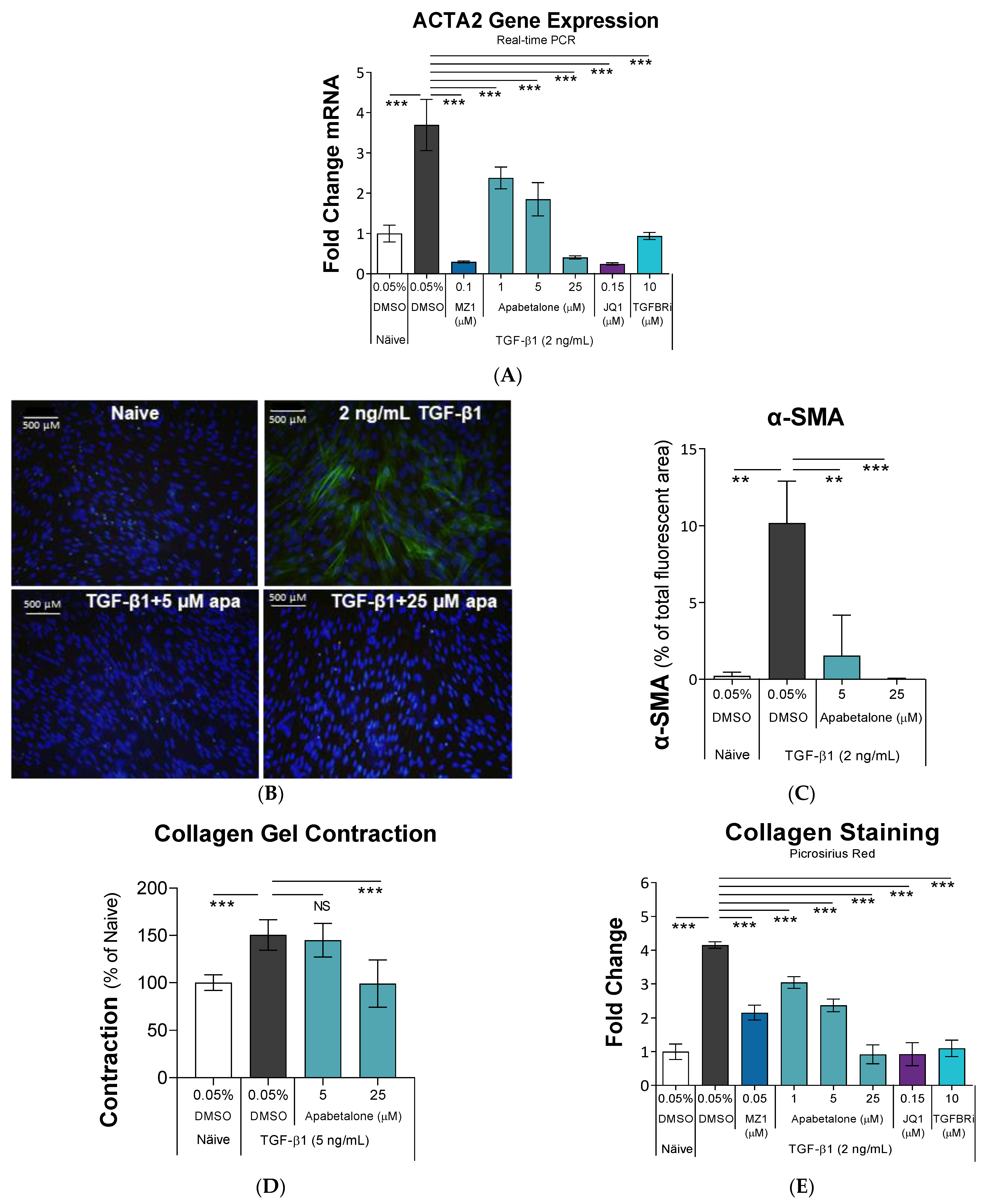 Biomedicines 11 01663 g001