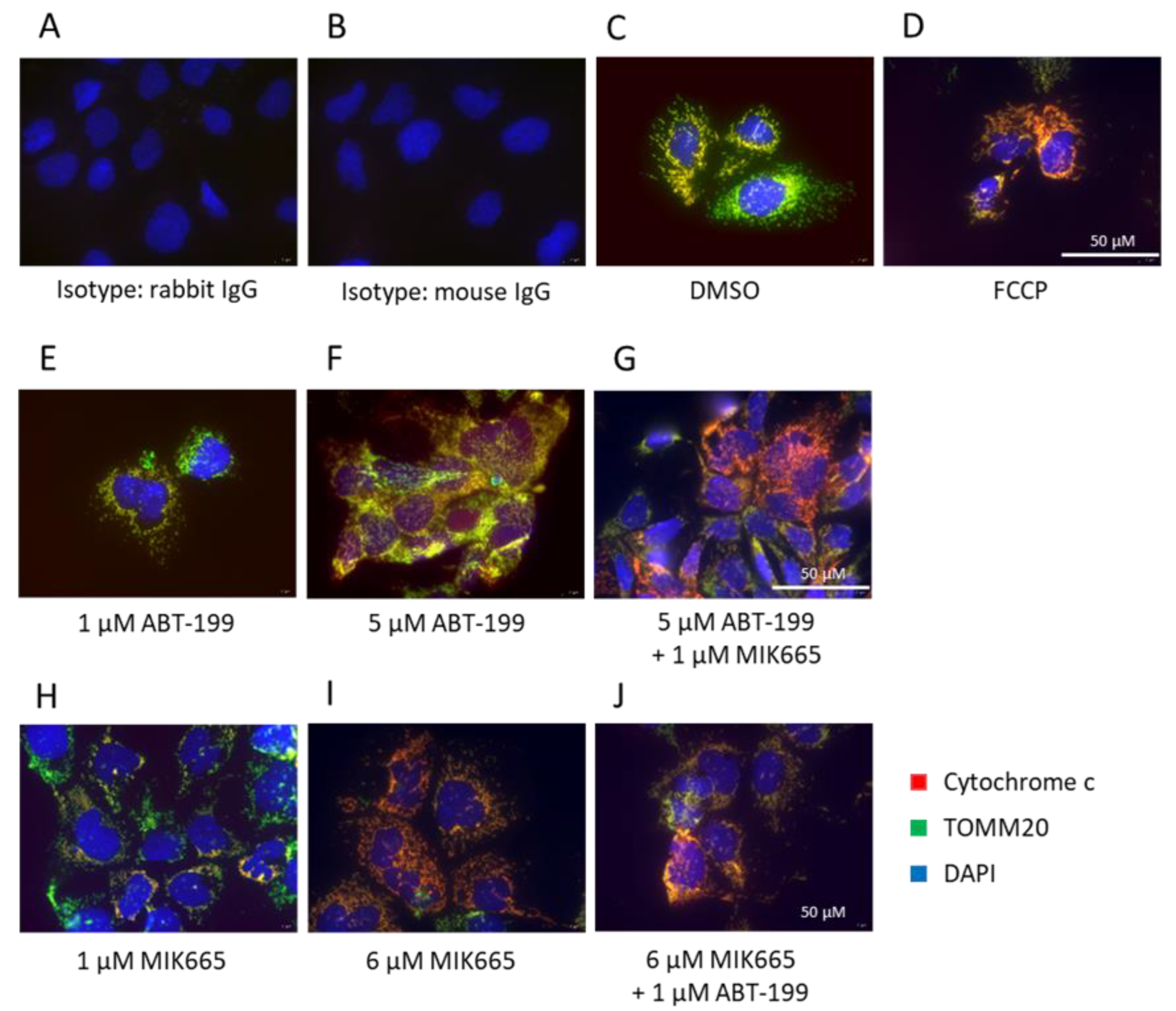 Biomedicines 11 01666 g002 Biomedicines 11 01666 g002