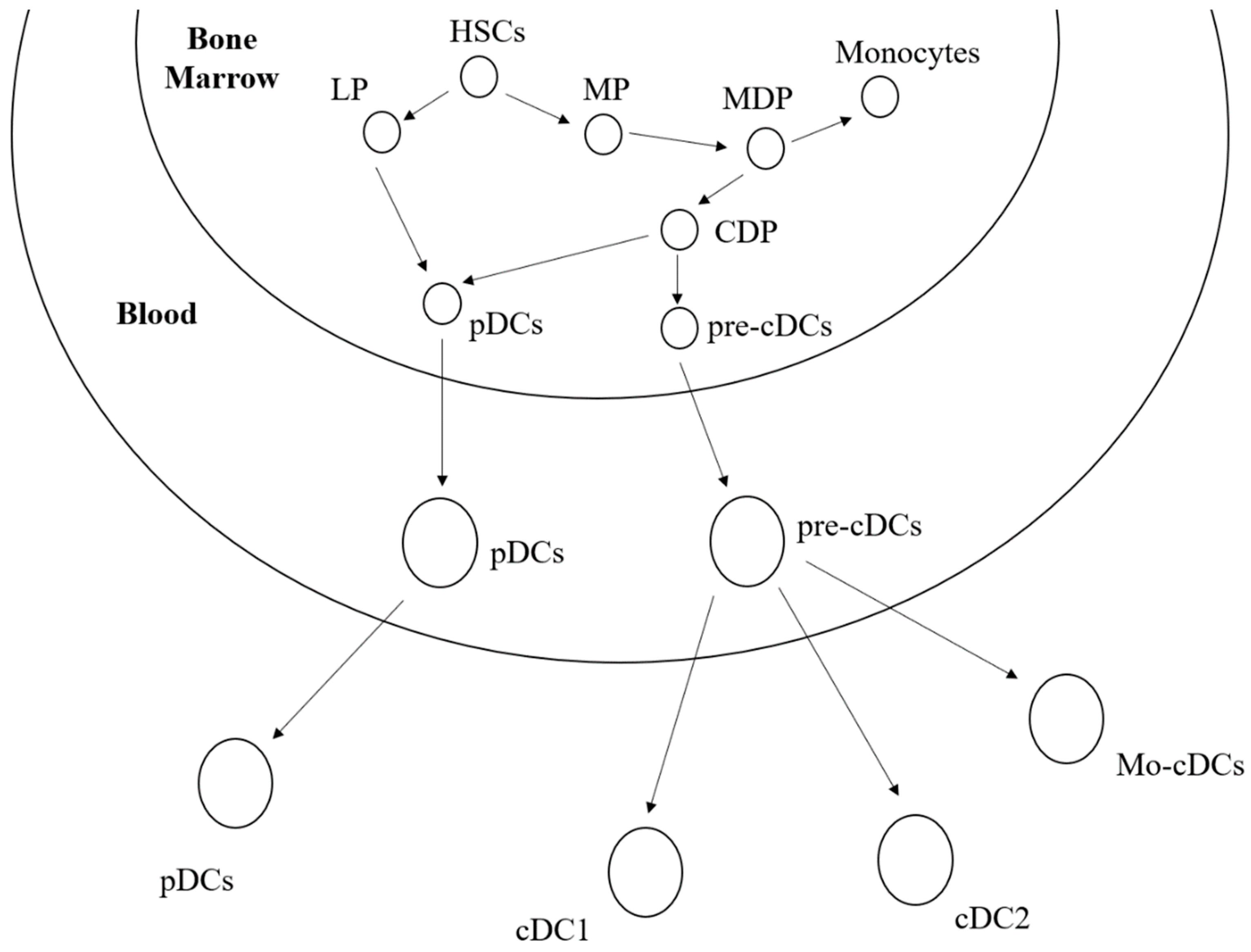 Biomedicines 11 01673 g001 Biomedicines 11 01673 g001