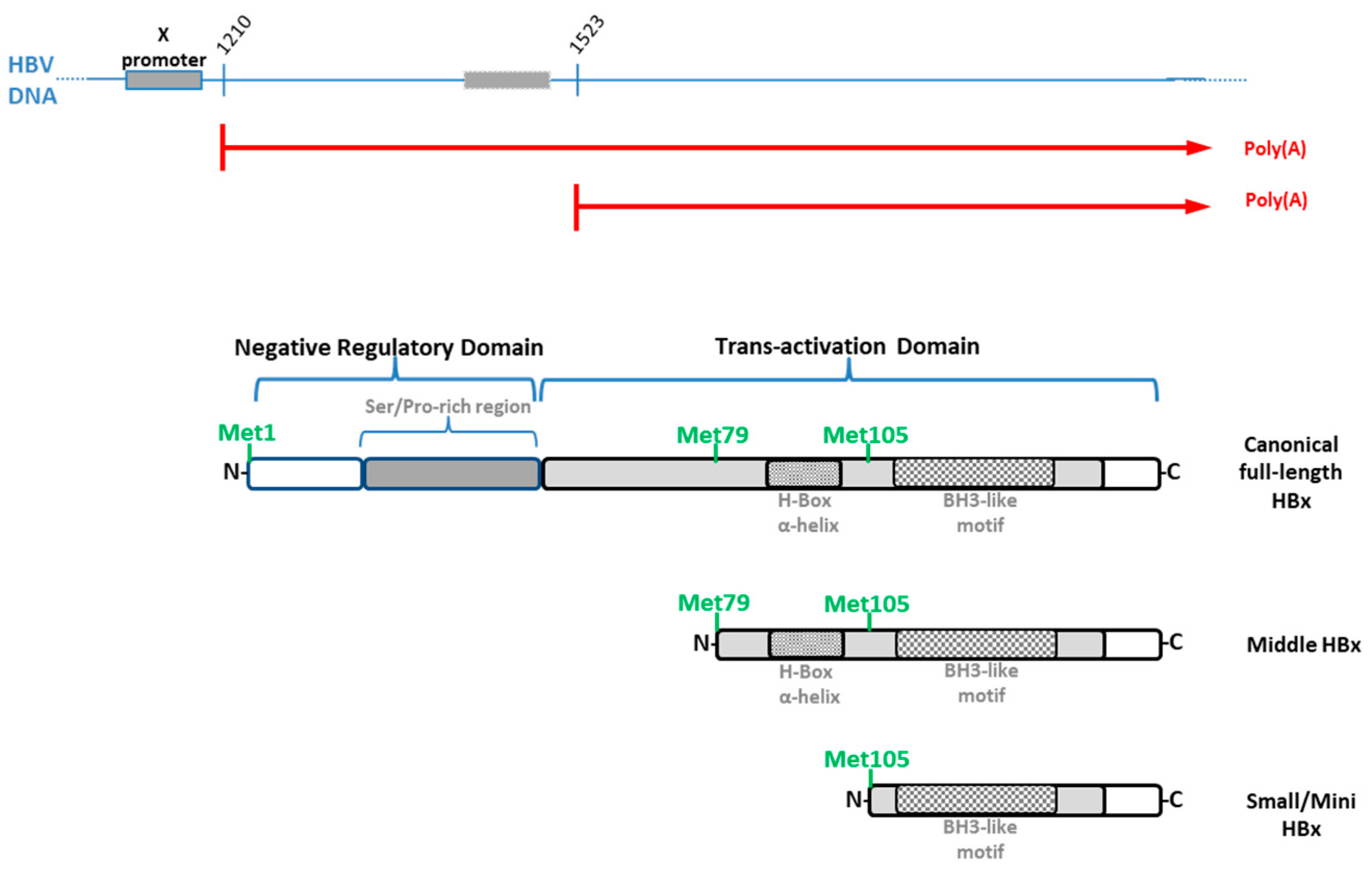 Biomedicines 11 01674 g005