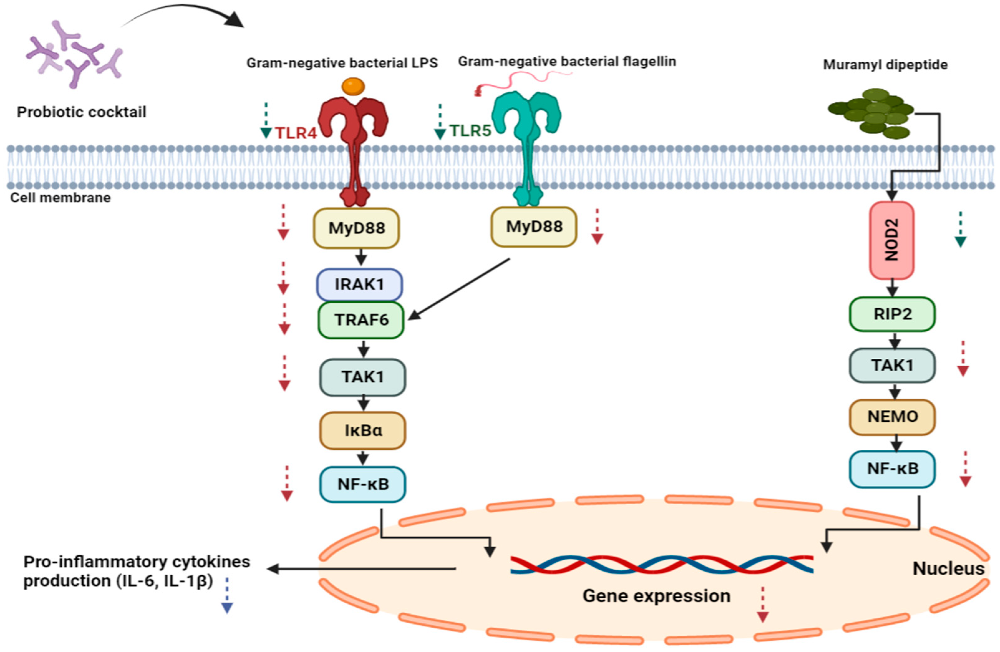 Biomedicines 11 01675 g001 Biomedicines 11 01675 g001
