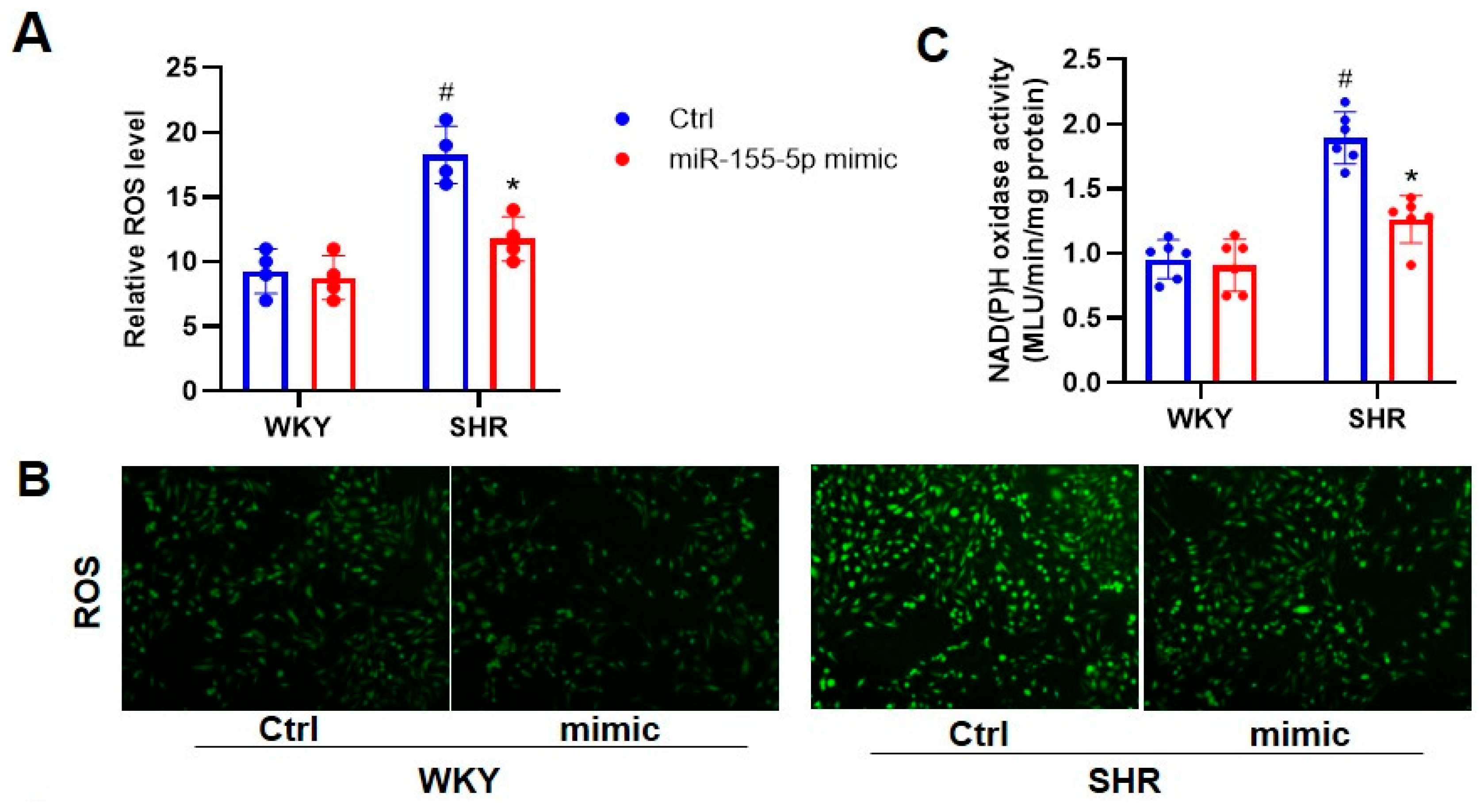 Biomedicines 11 01679 g001a Biomedicines 11 01679 g001a