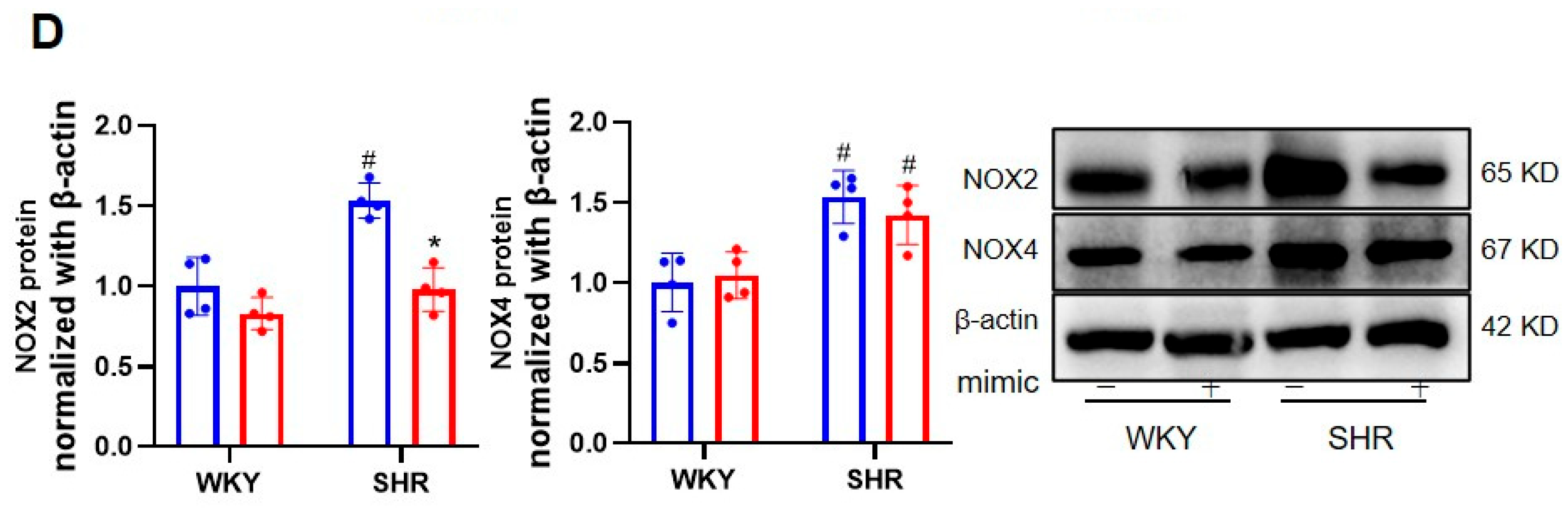 Biomedicines 11 01679 g001b Biomedicines 11 01679 g001b