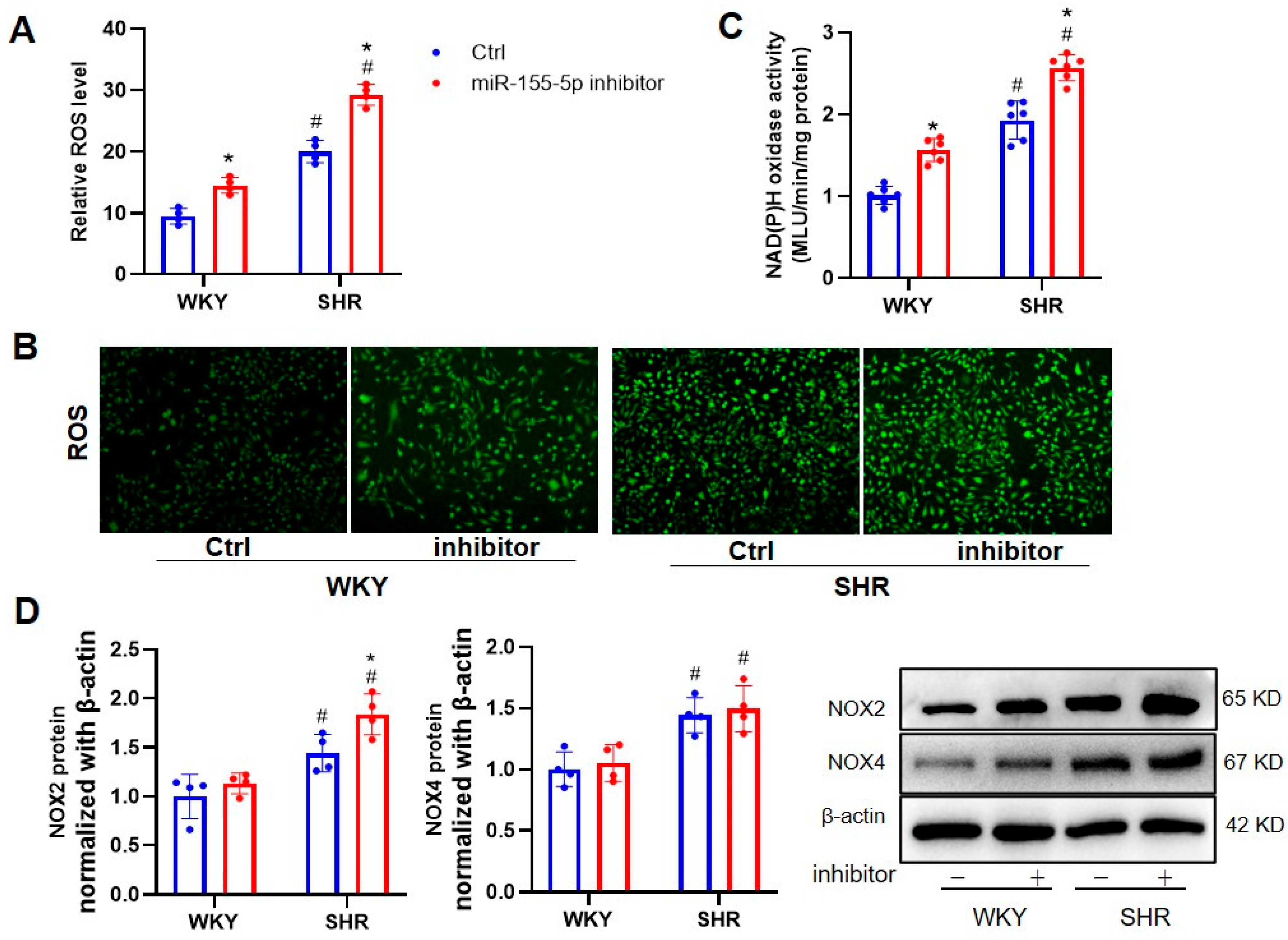 Biomedicines 11 01679 g002 Biomedicines 11 01679 g002