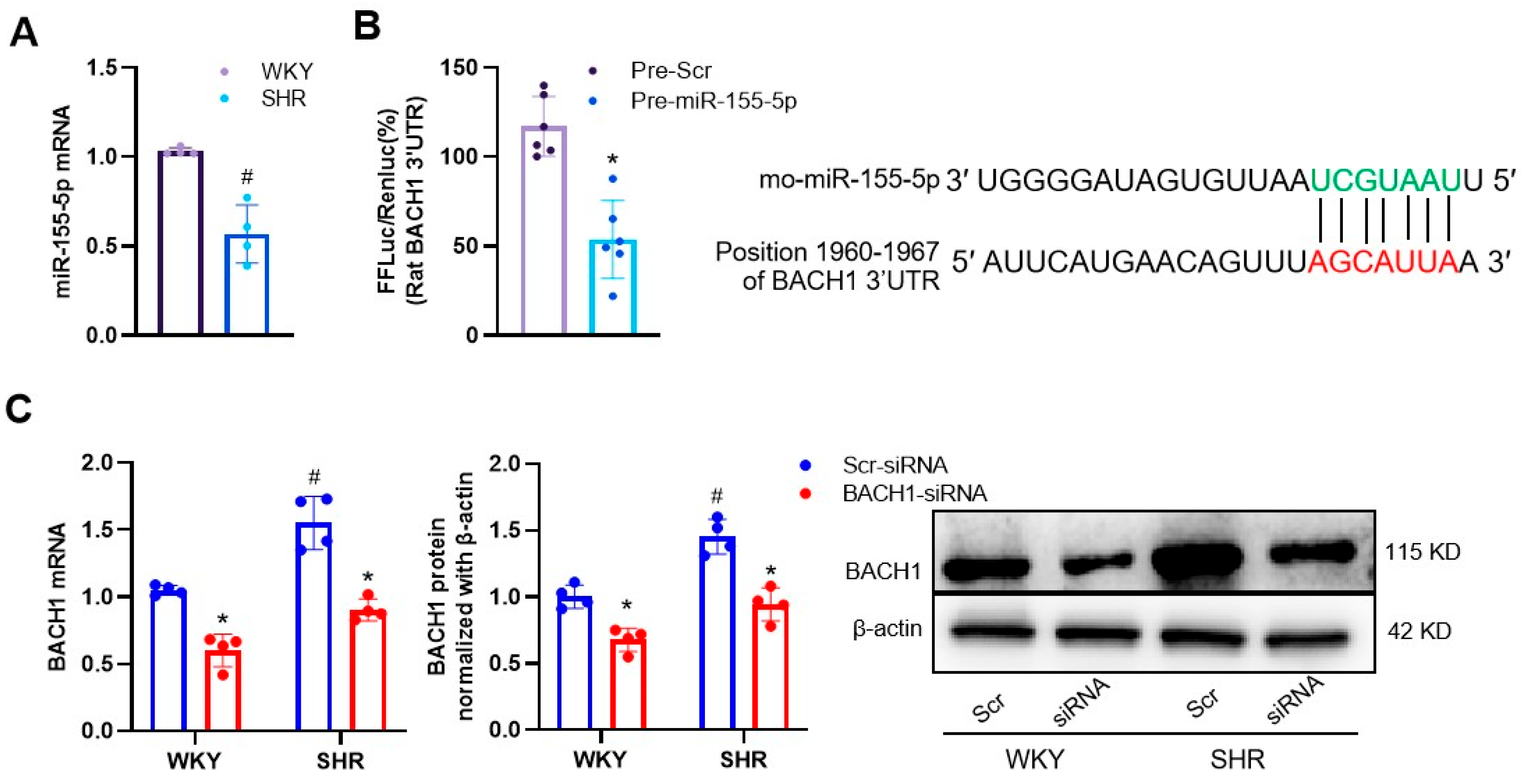 Biomedicines 11 01679 g003 Biomedicines 11 01679 g003