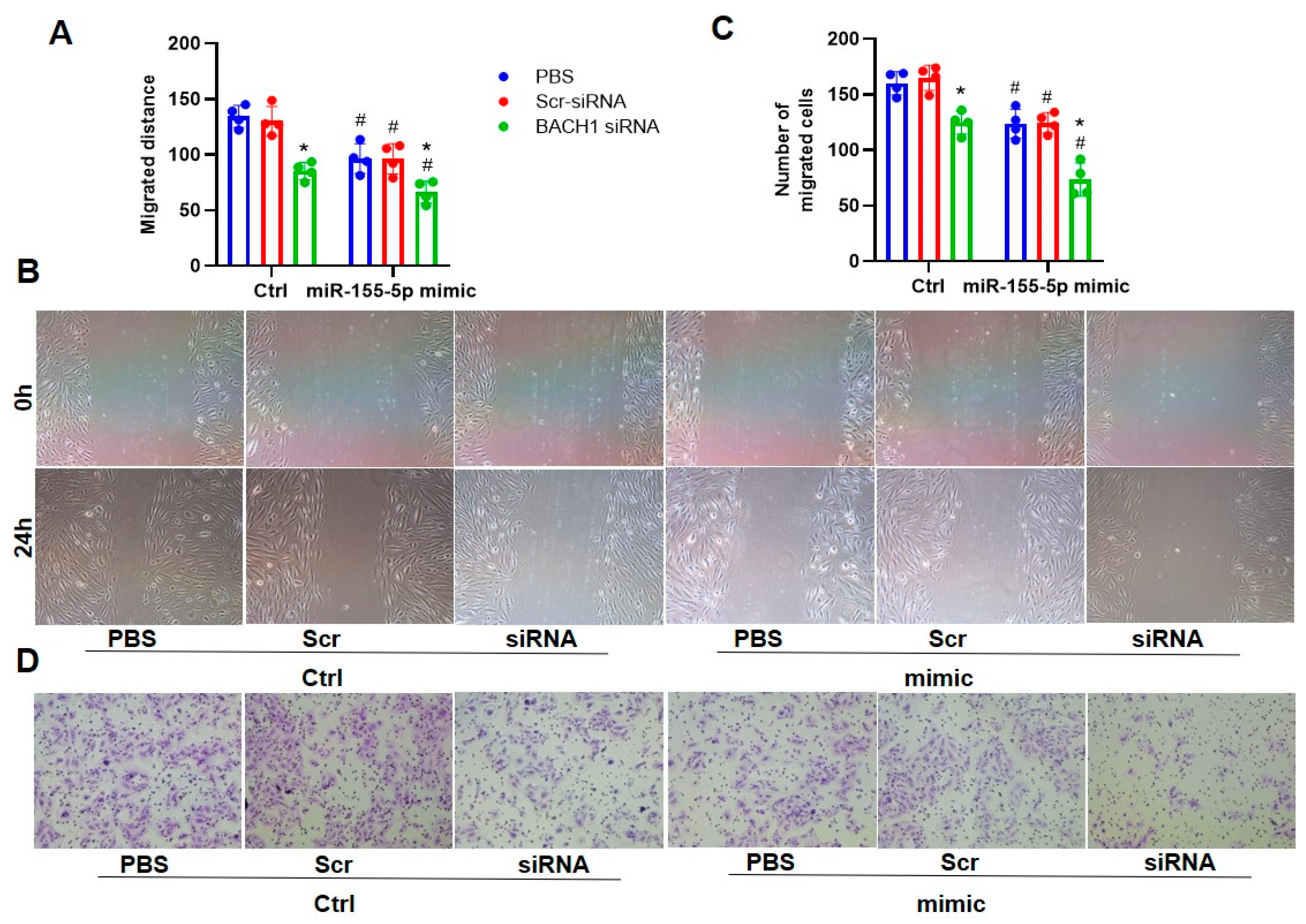 Biomedicines 11 01679 g007 Biomedicines 11 01679 g007