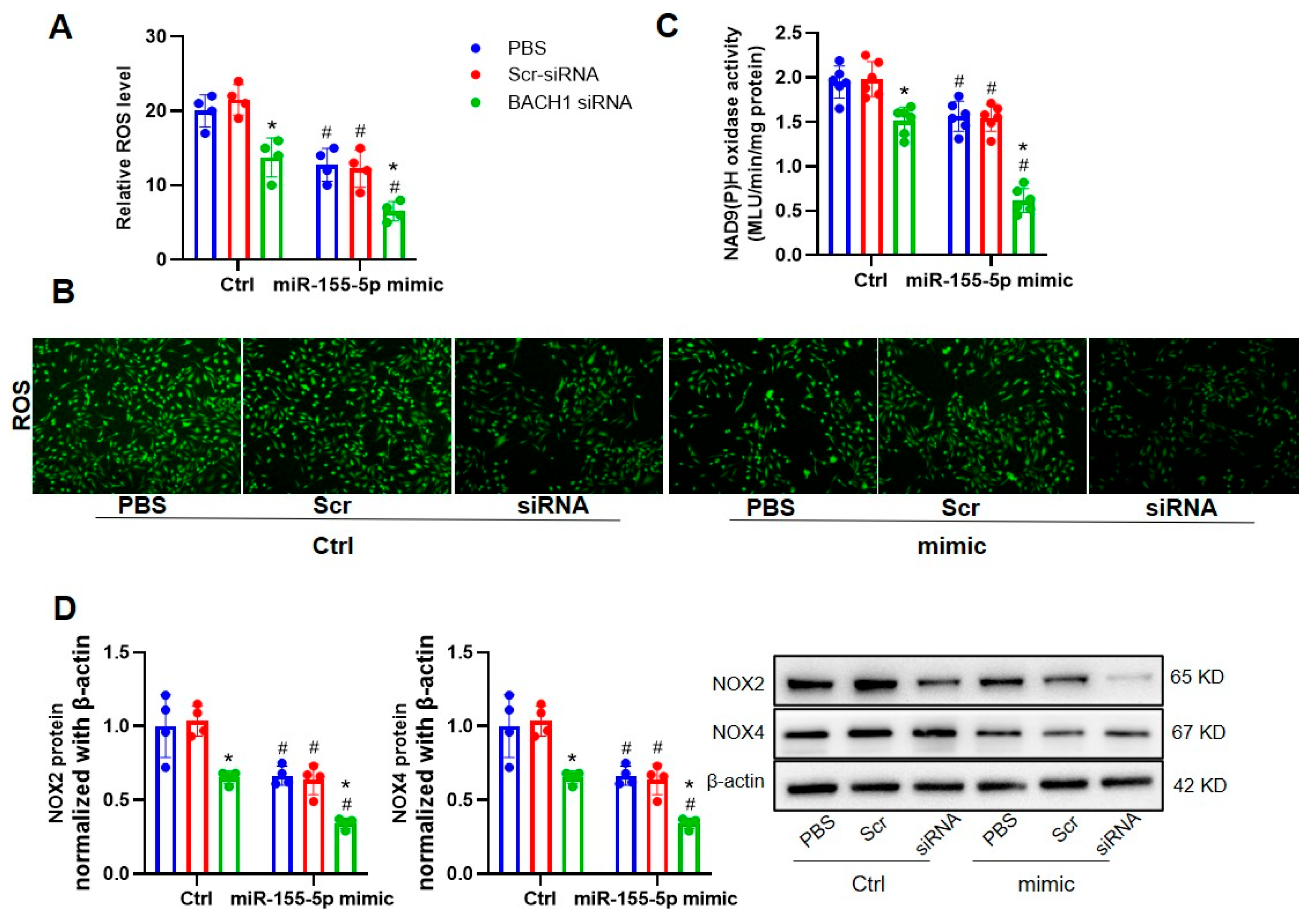 Biomedicines 11 01679 g008 Biomedicines 11 01679 g008