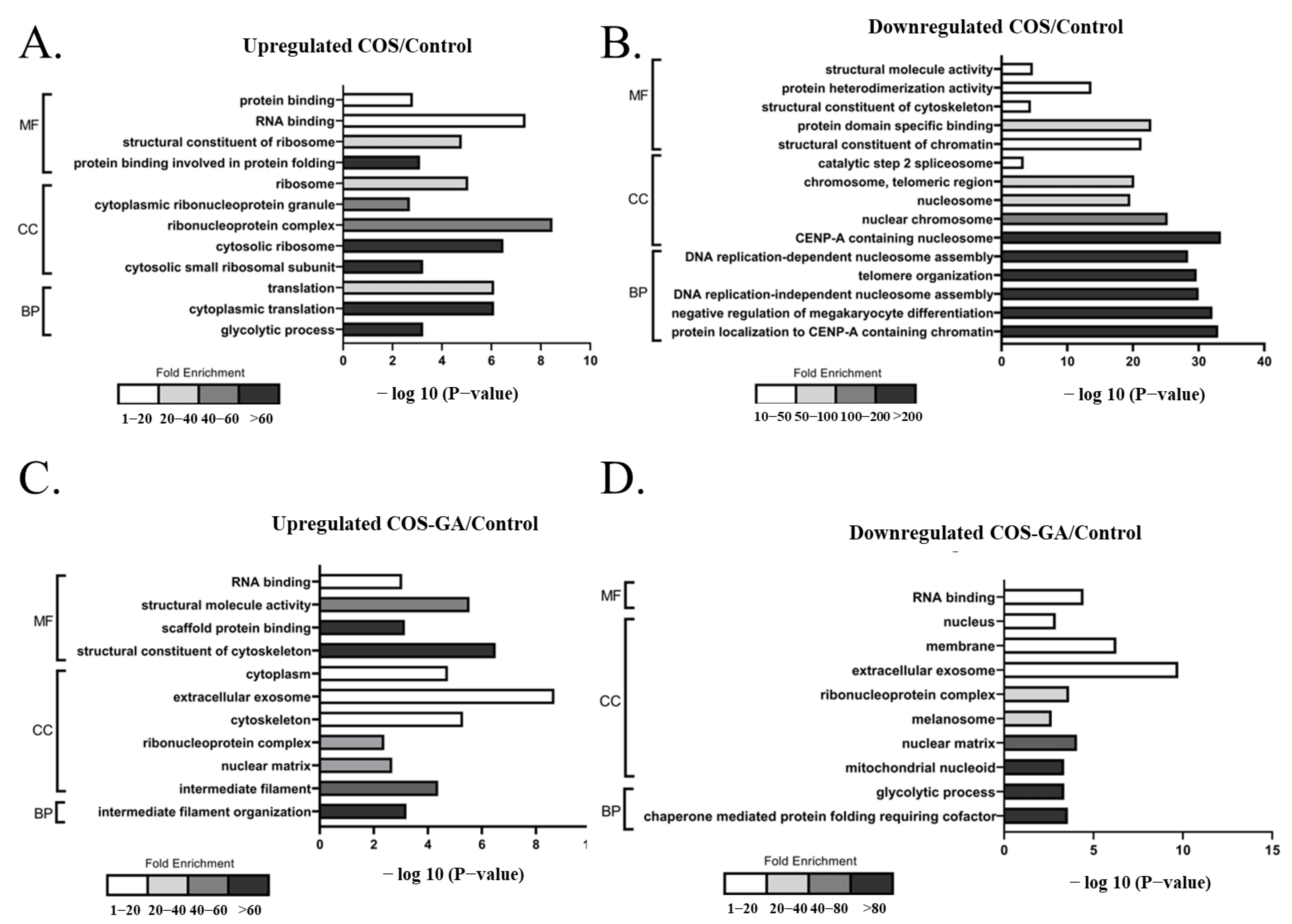 Biomedicines 11 01683 g004 Biomedicines 11 01683 g004