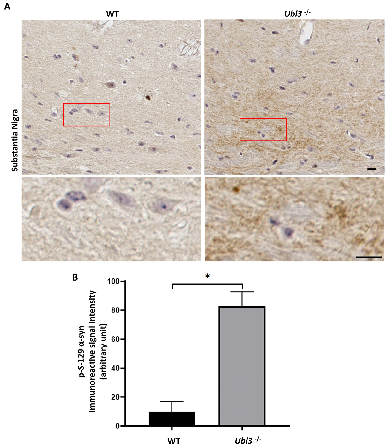 Biomedicines 11 01685 g001 Biomedicines 11 01685 g001