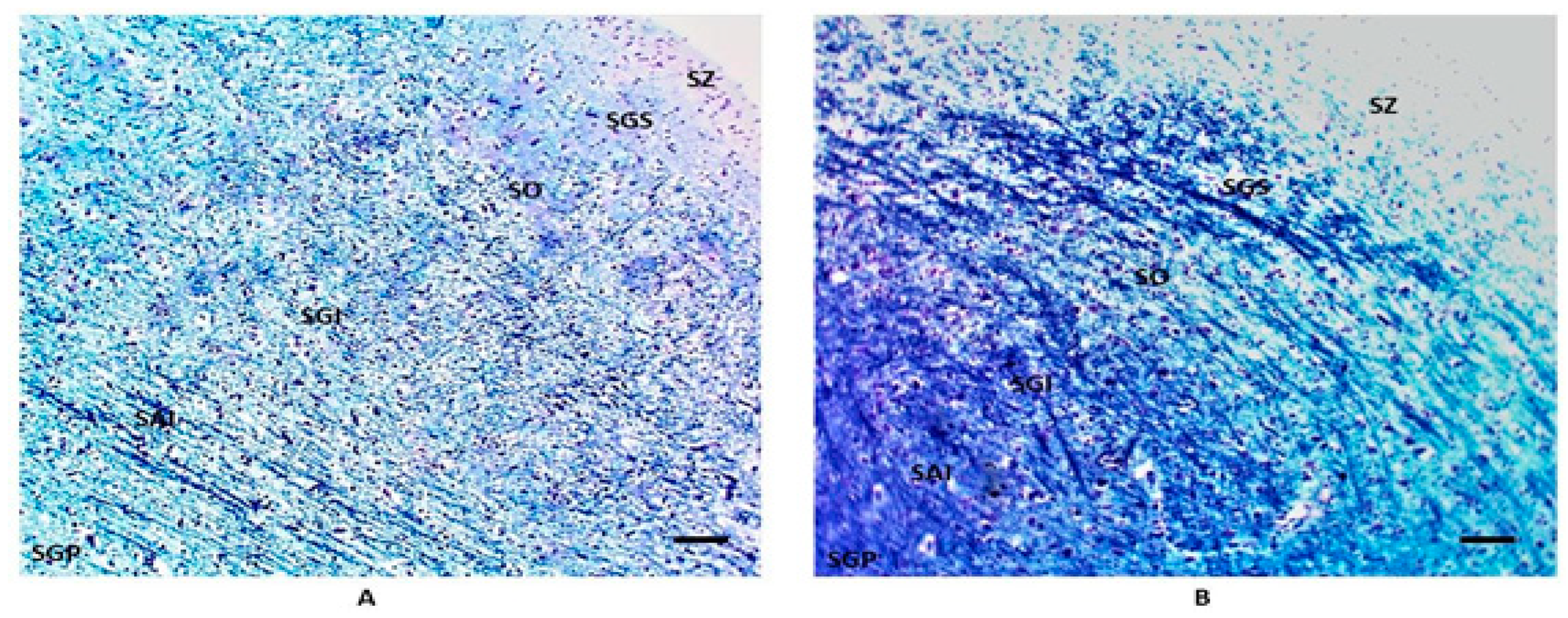 Biomedicines 11 01689 g004 Biomedicines 11 01689 g004