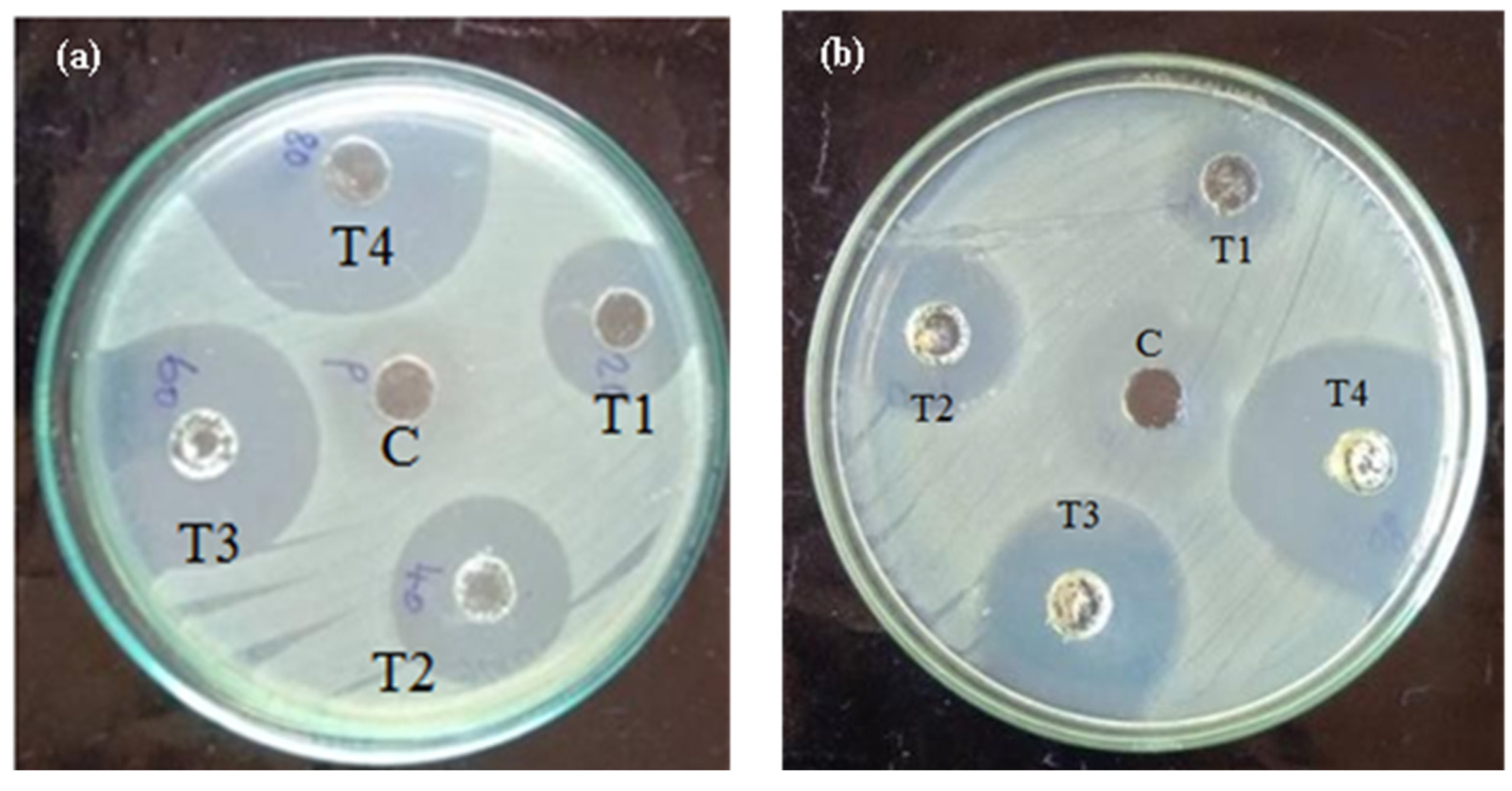 Biomedicines 11 01690 g005