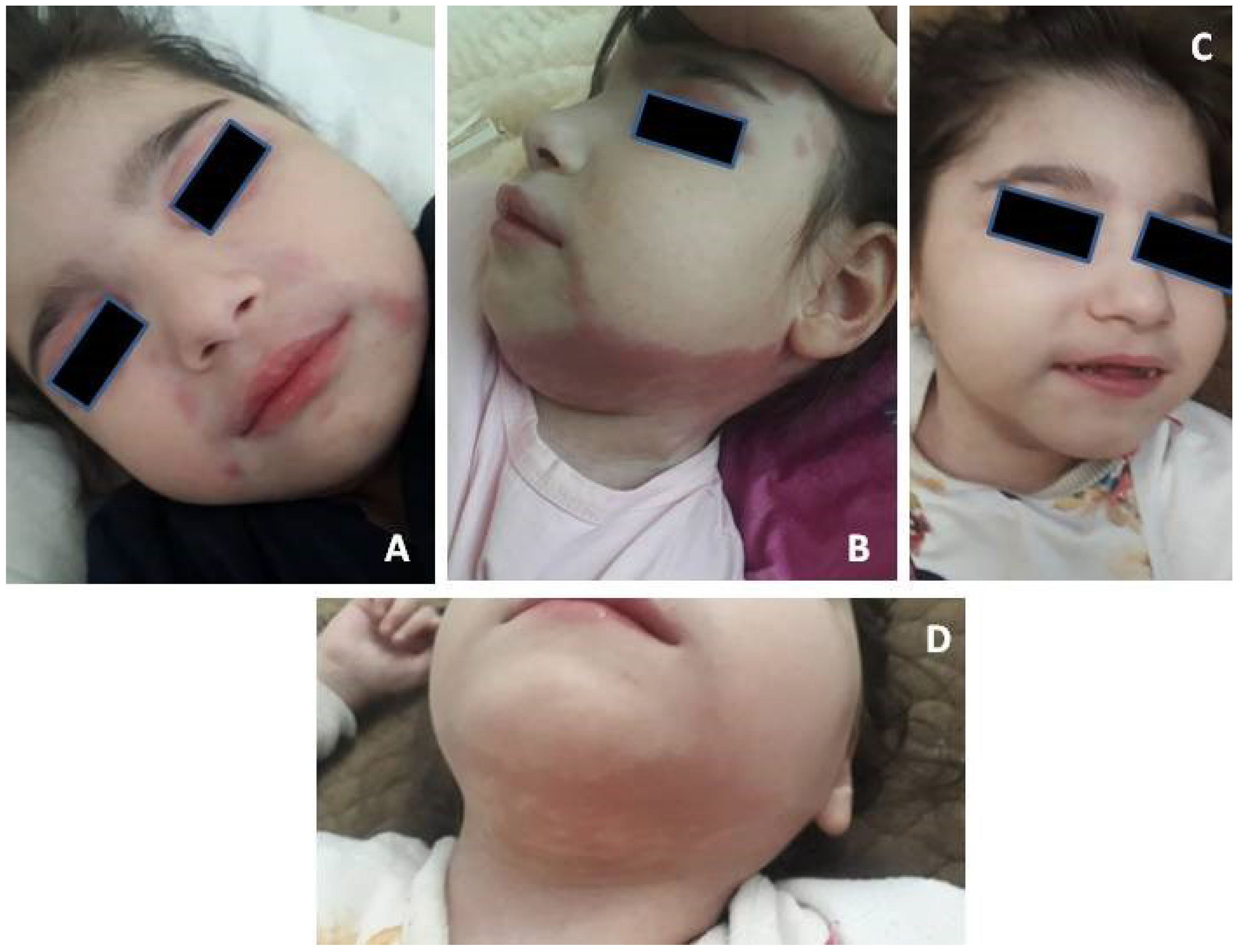 Biomedicines 11 01693 g001 Biomedicines 11 01693 g001