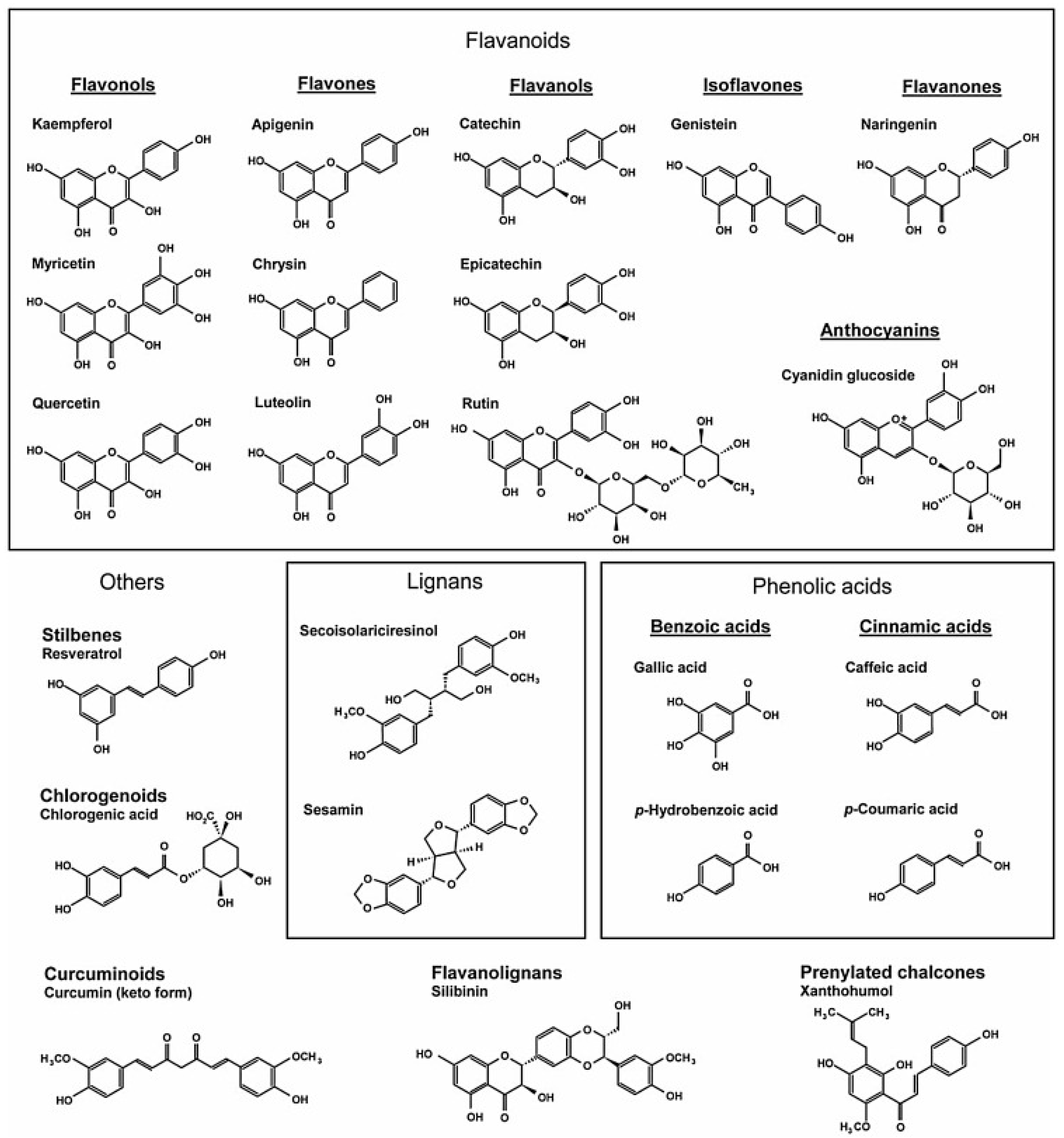 Biomedicines 11 01697 g001 Biomedicines 11 01697 g001
