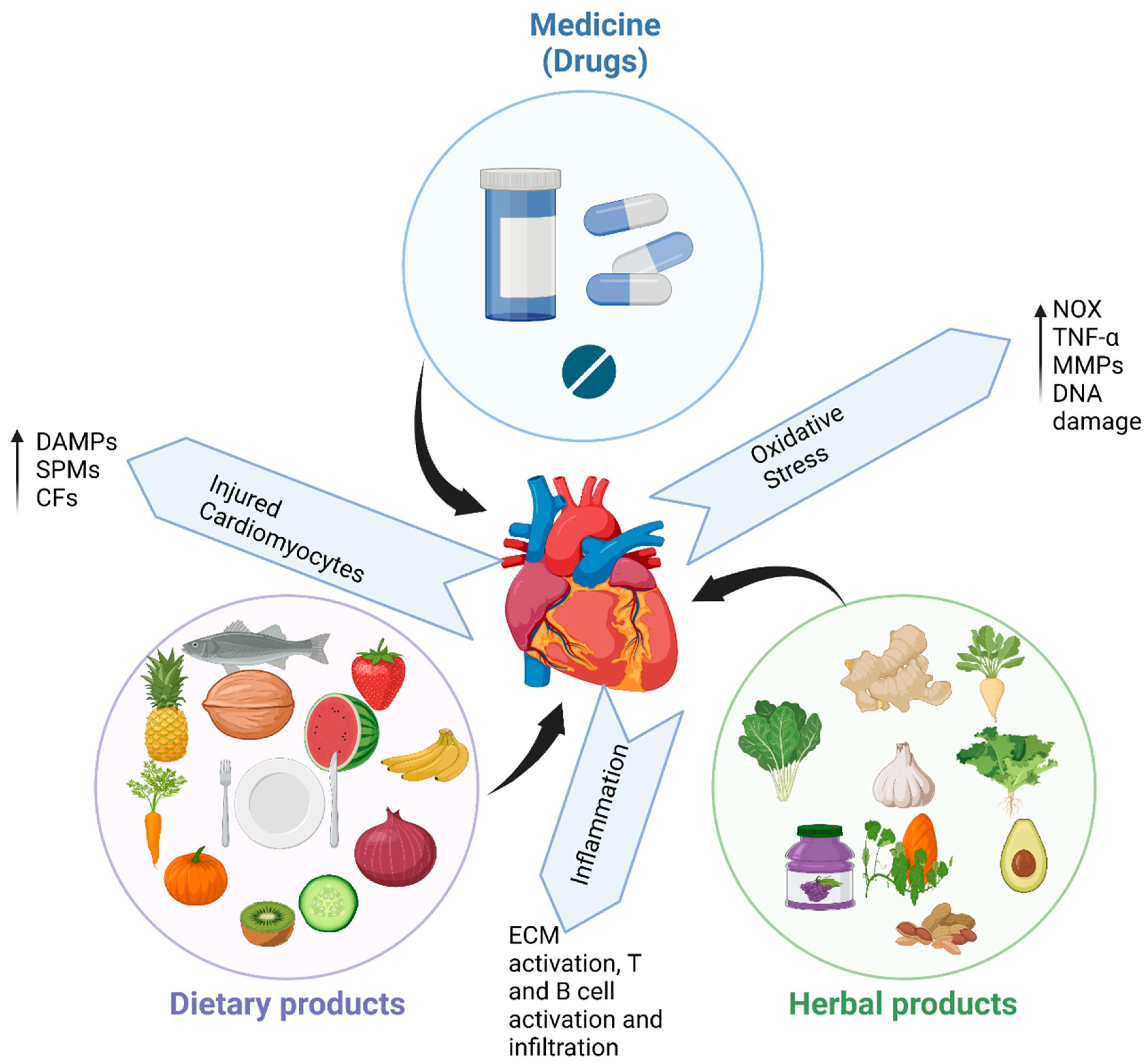 Biomedicines 11 01697 g002 Biomedicines 11 01697 g002