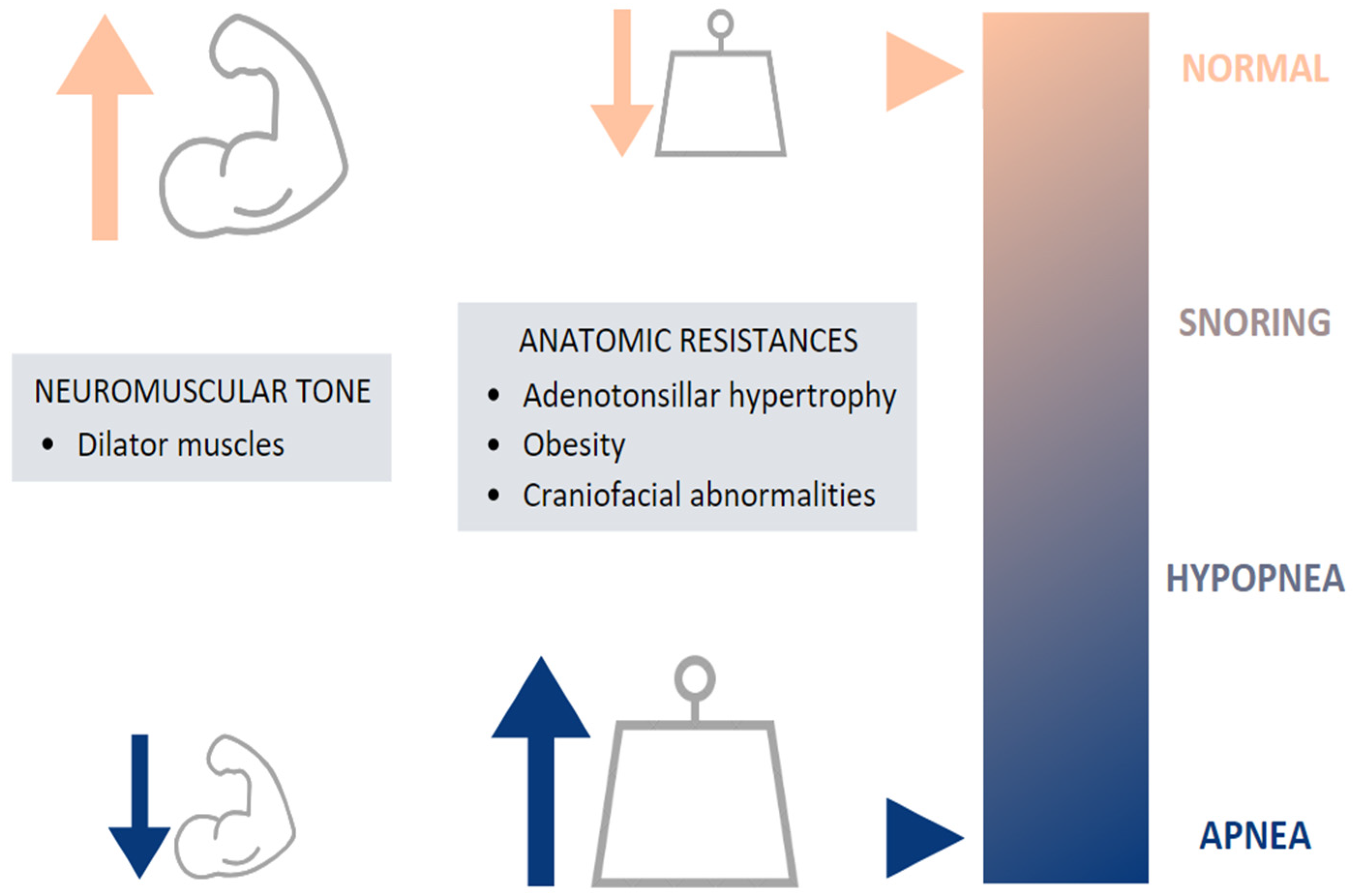 Biomedicines 11 01708 g002 Biomedicines 11 01708 g002