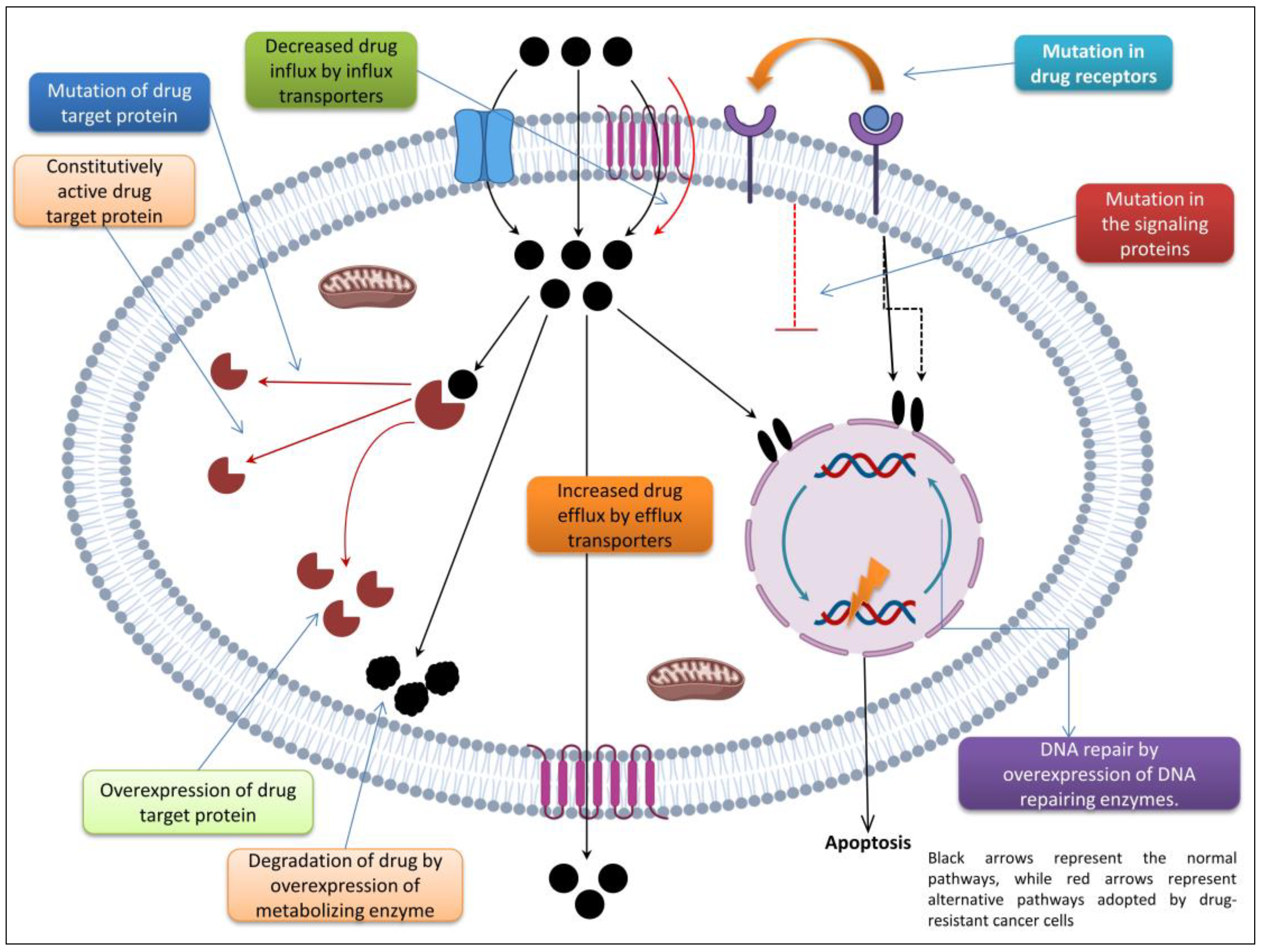 Biomedicines 11 01709 g001 Biomedicines 11 01709 g001