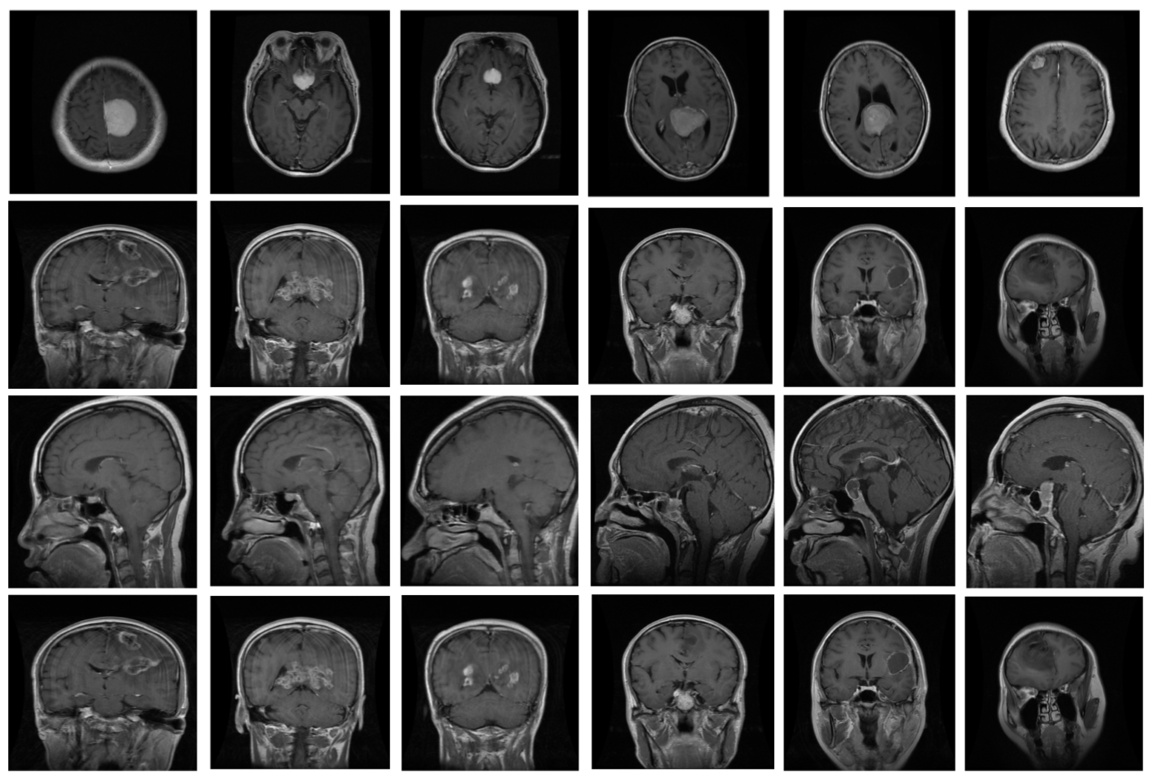 Biomedicines 11 01715 g004 550