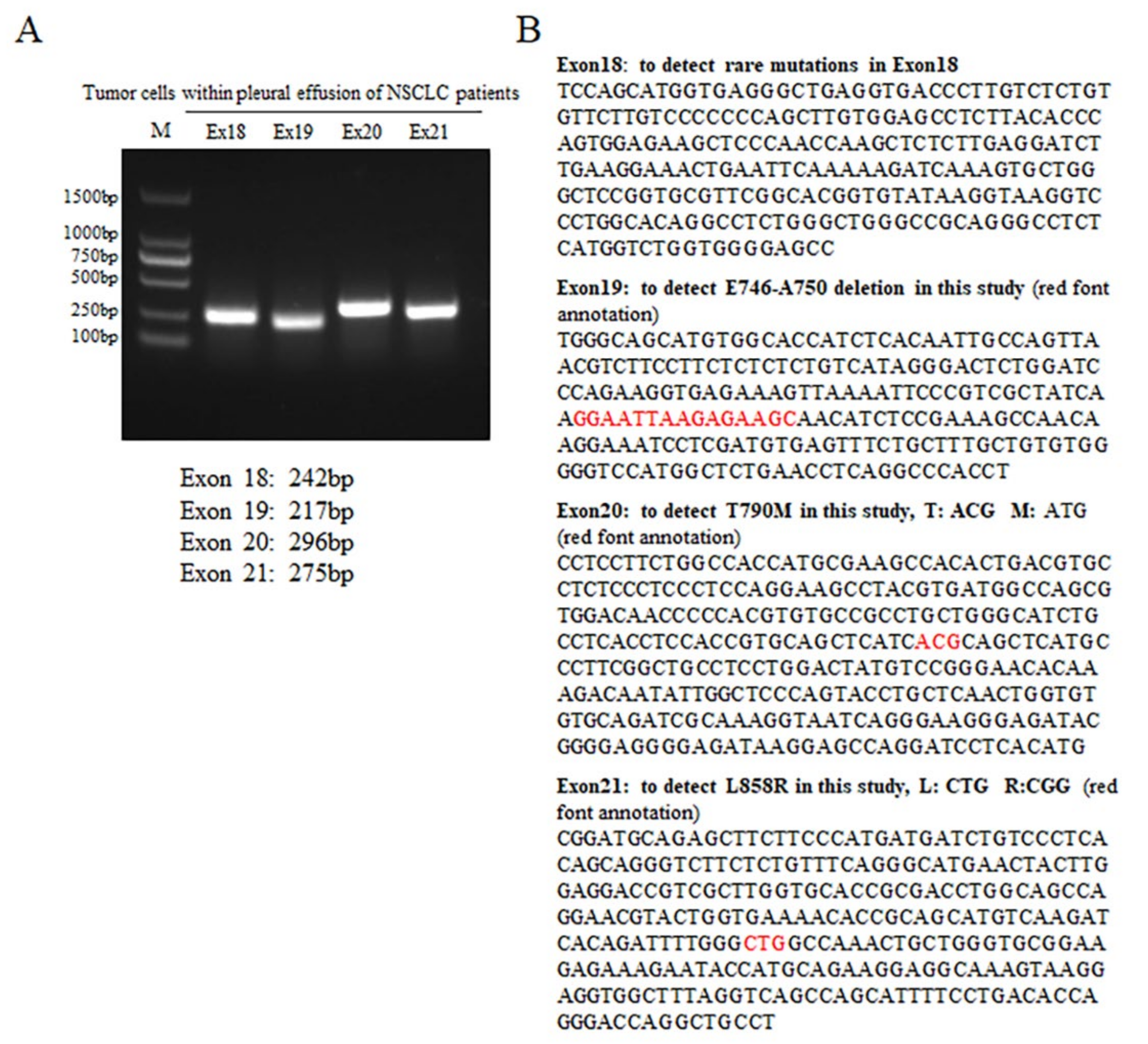 Biomedicines 11 01721 g001