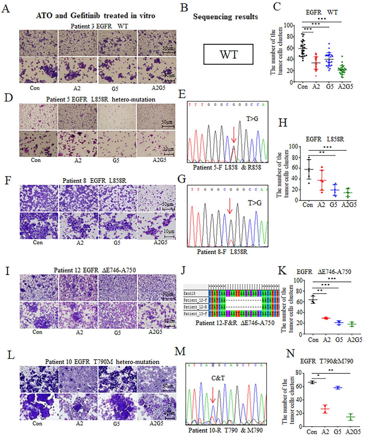Biomedicines 11 01721 g002