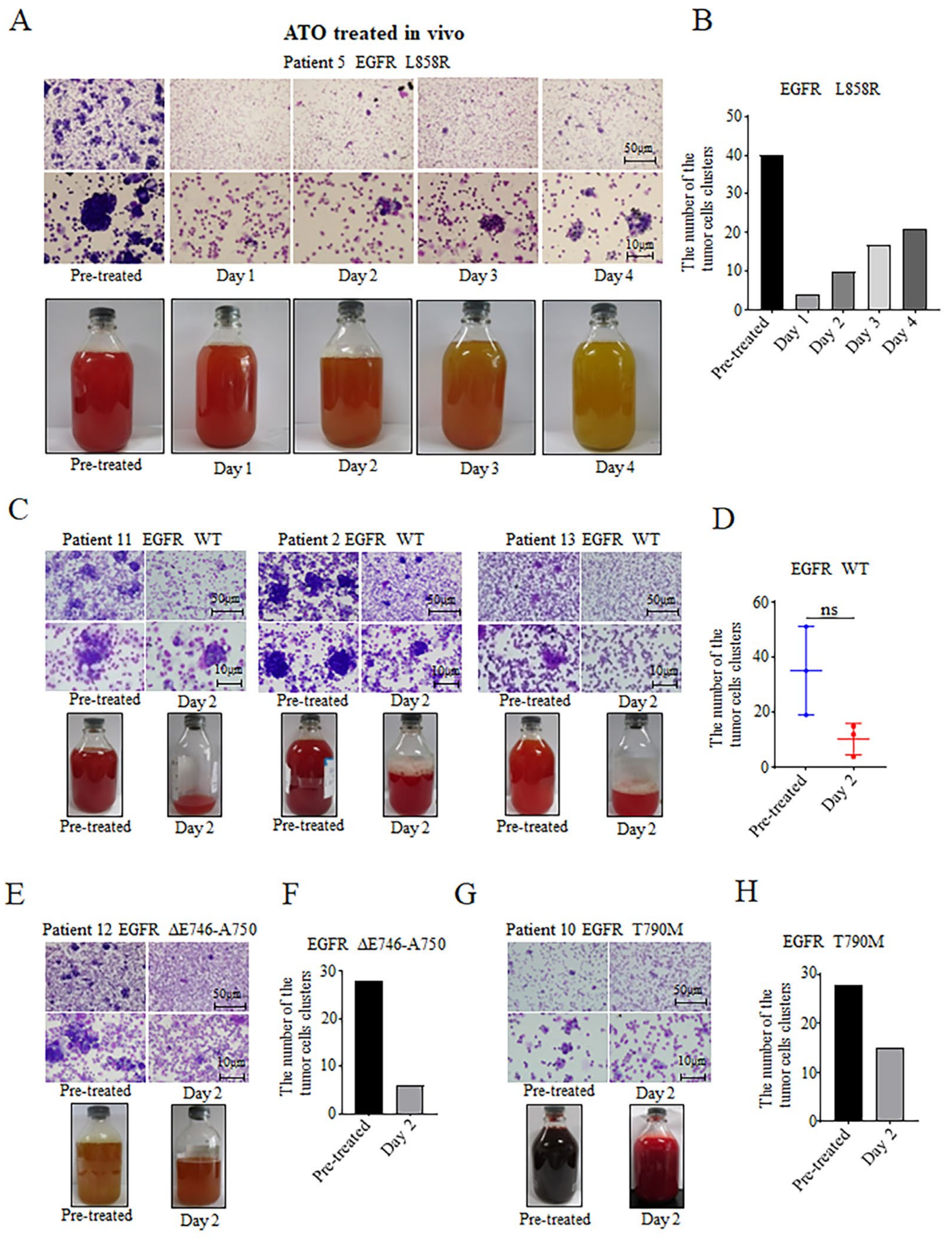 Biomedicines 11 01721 g003