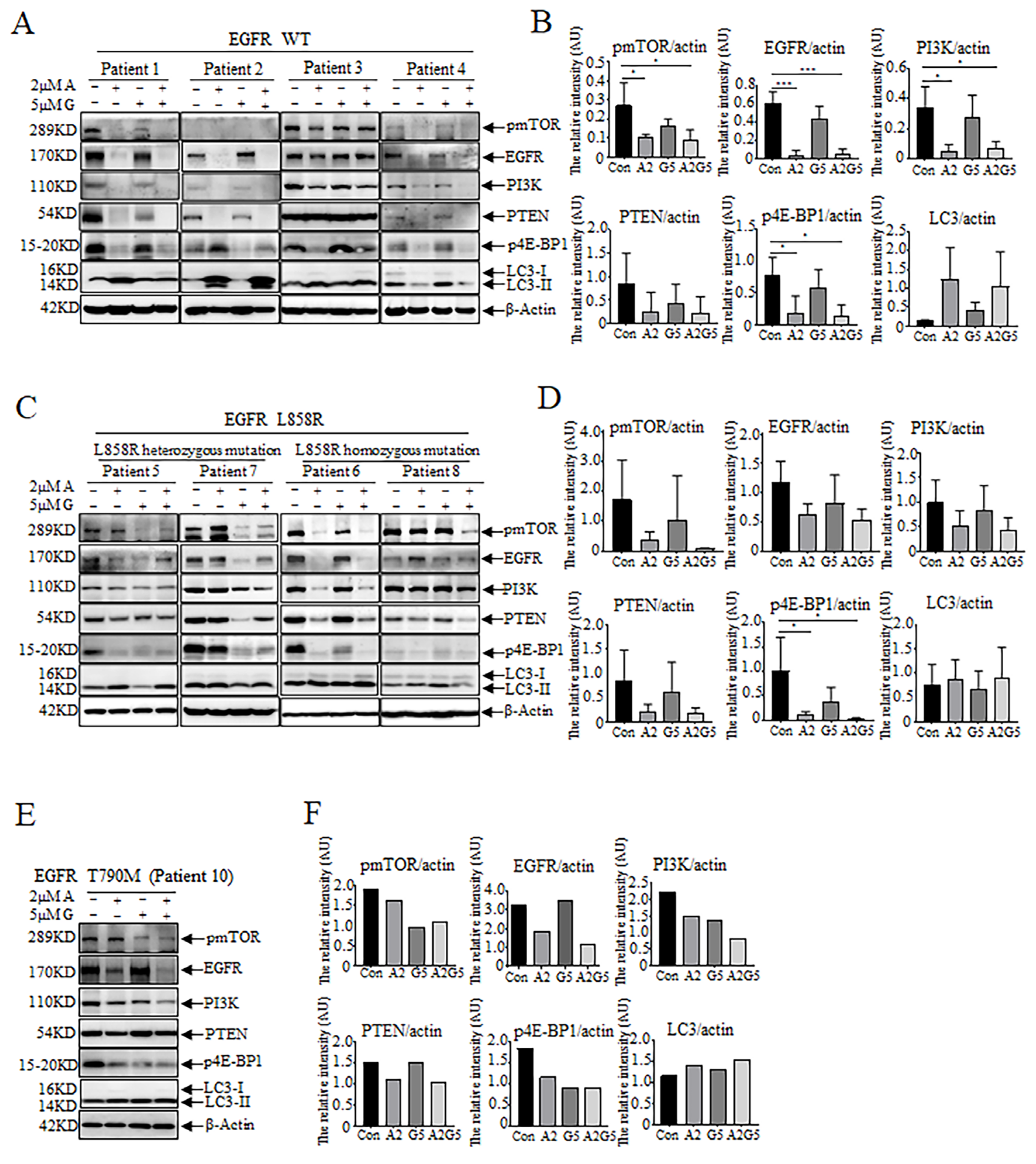 Biomedicines 11 01721 g004