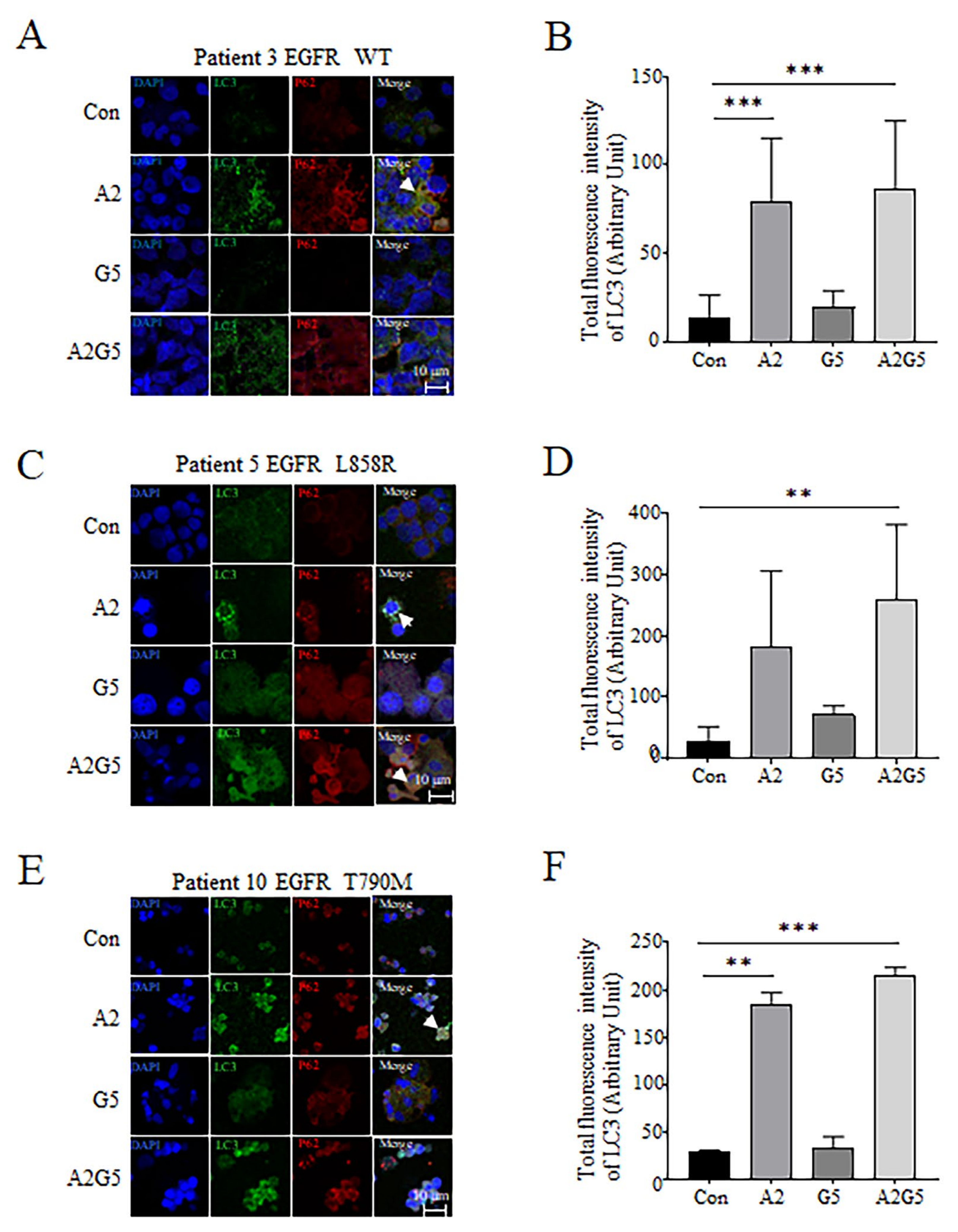 Biomedicines 11 01721 g005