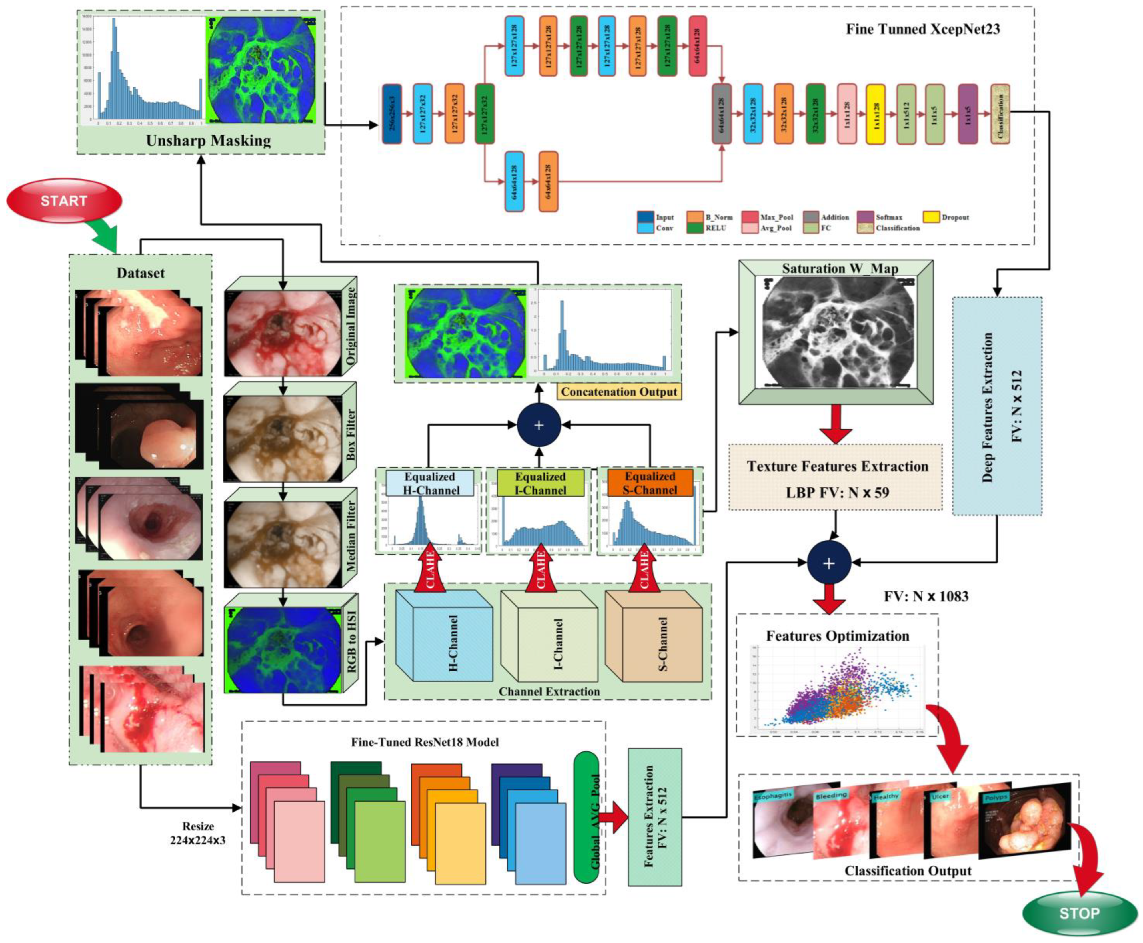 Biomedicines 11 01723 g001