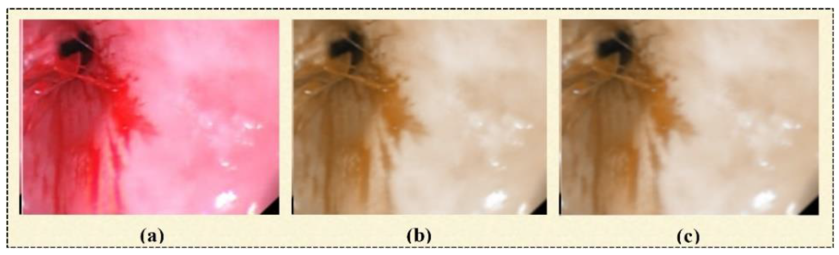 Biomedicines 11 01723 g003