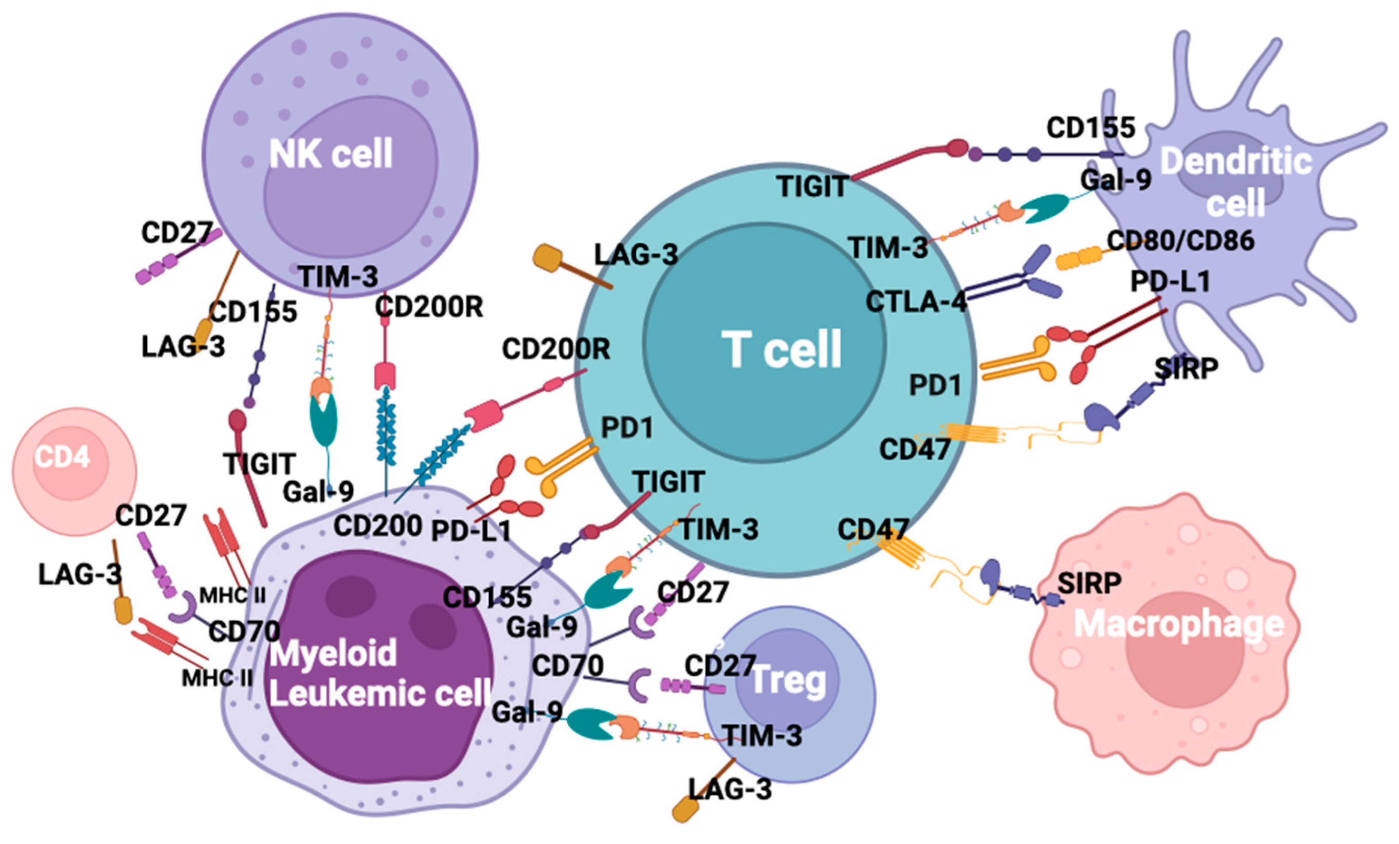 Biomedicines 11 01724 g001 Biomedicines 11 01724 g001