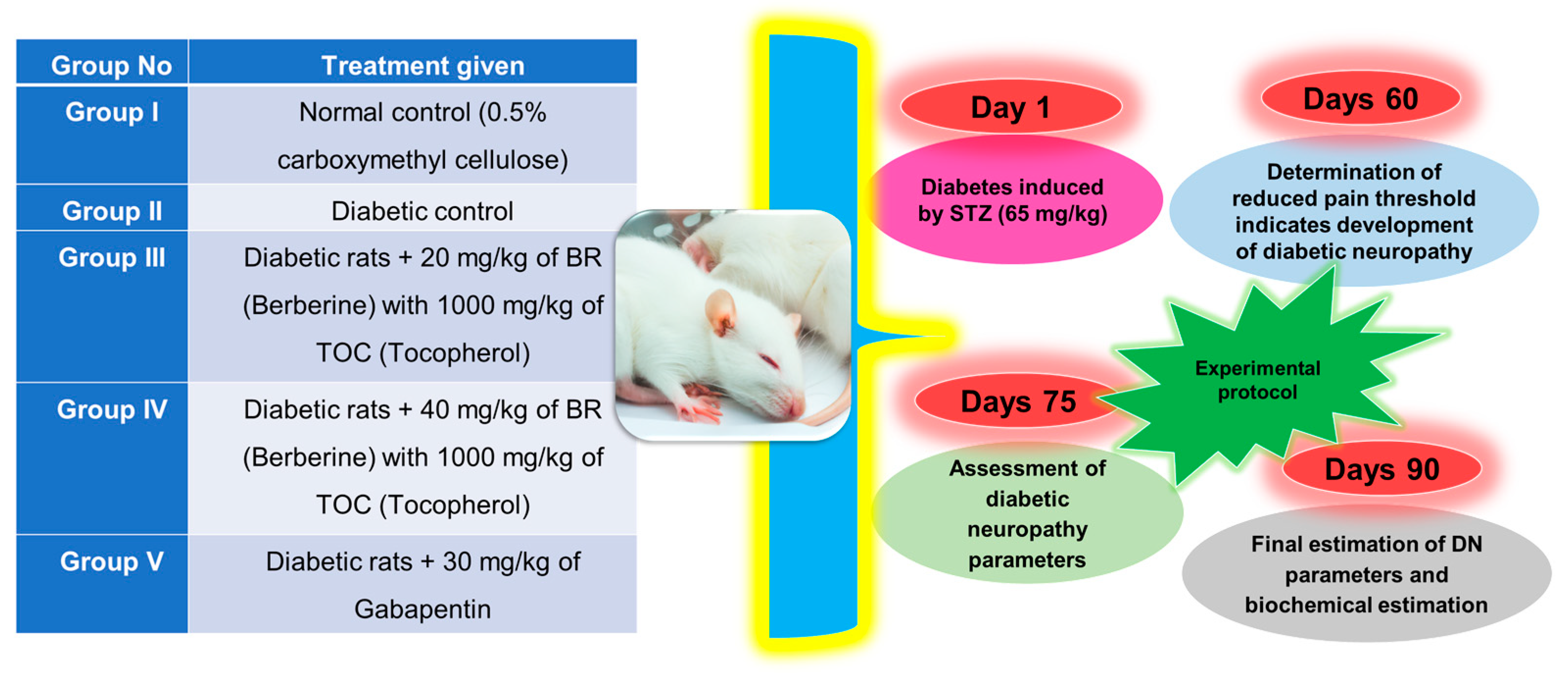 neurontin diabetic neuropathy