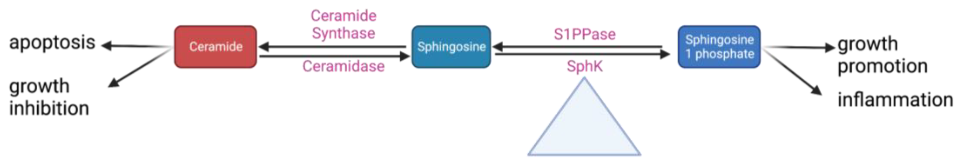 Biomedicines 11 01728 g002 Biomedicines 11 01728 g002
