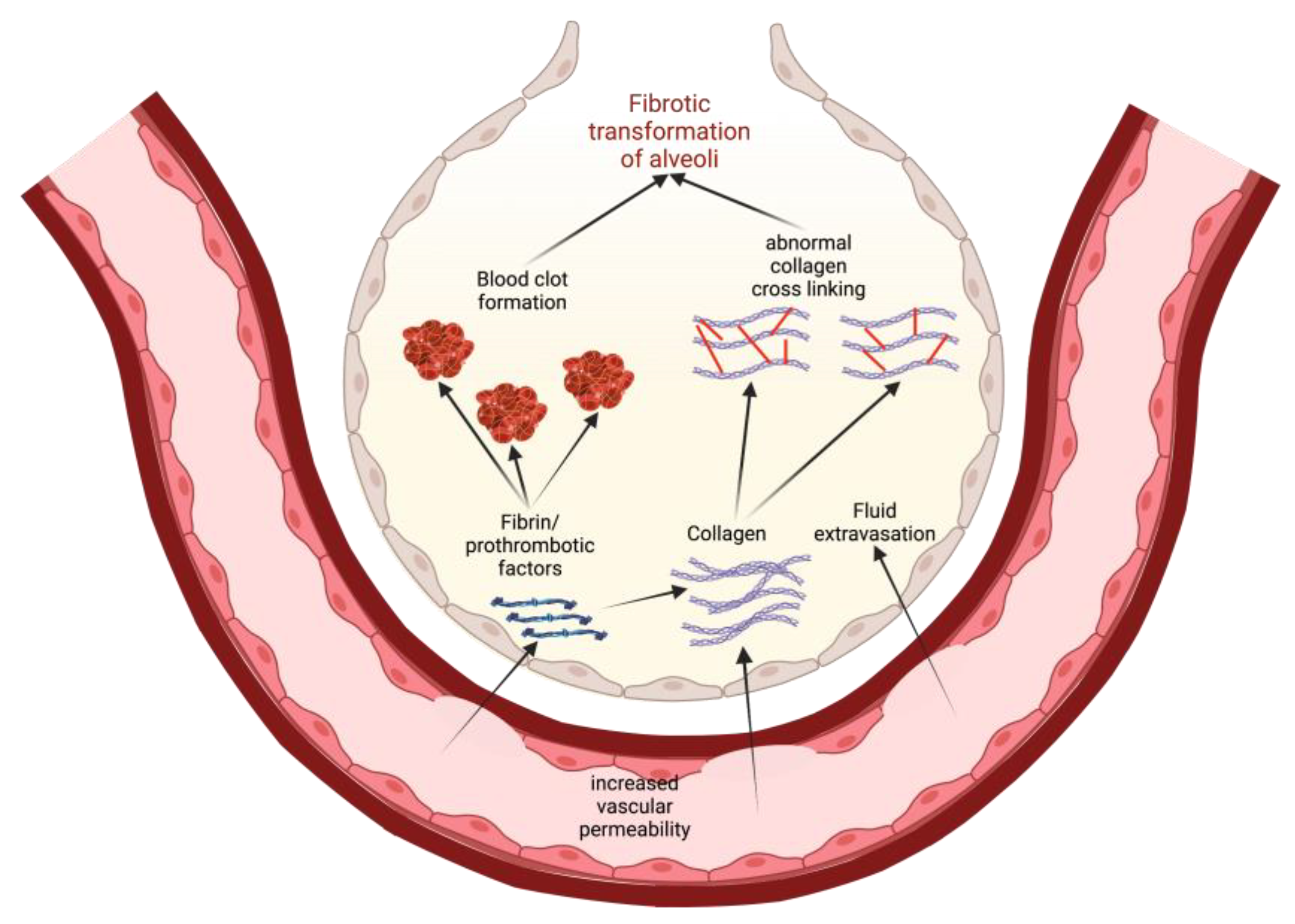 Biomedicines 11 01728 g003 Biomedicines 11 01728 g003