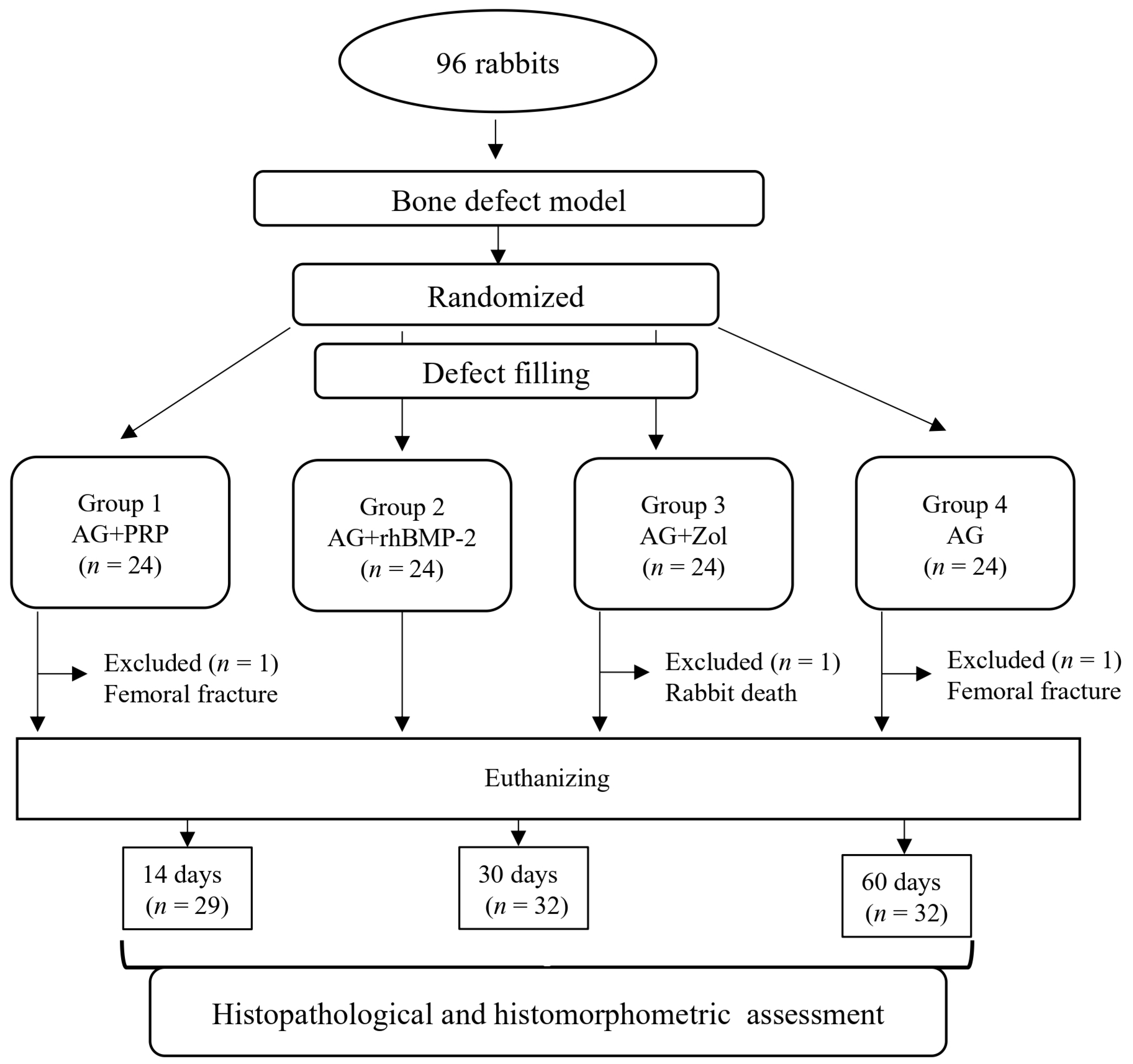 Biomedicines 11 01729 g003