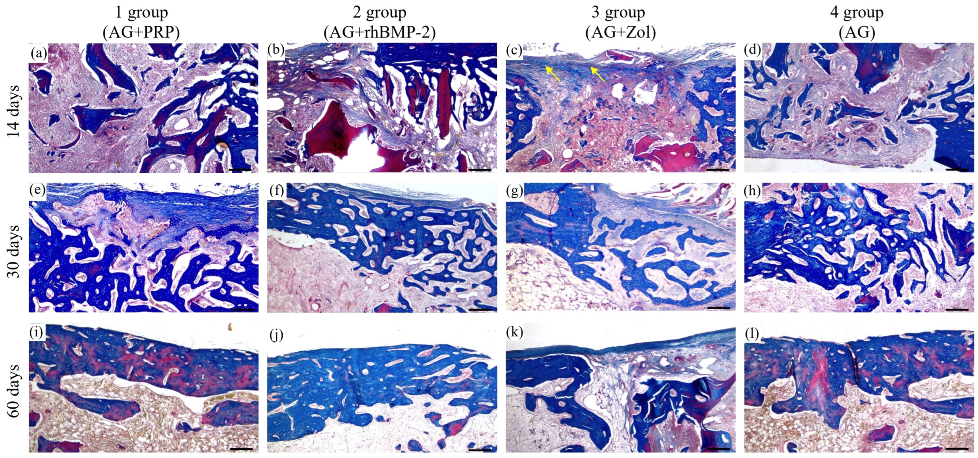 Biomedicines 11 01729 g006