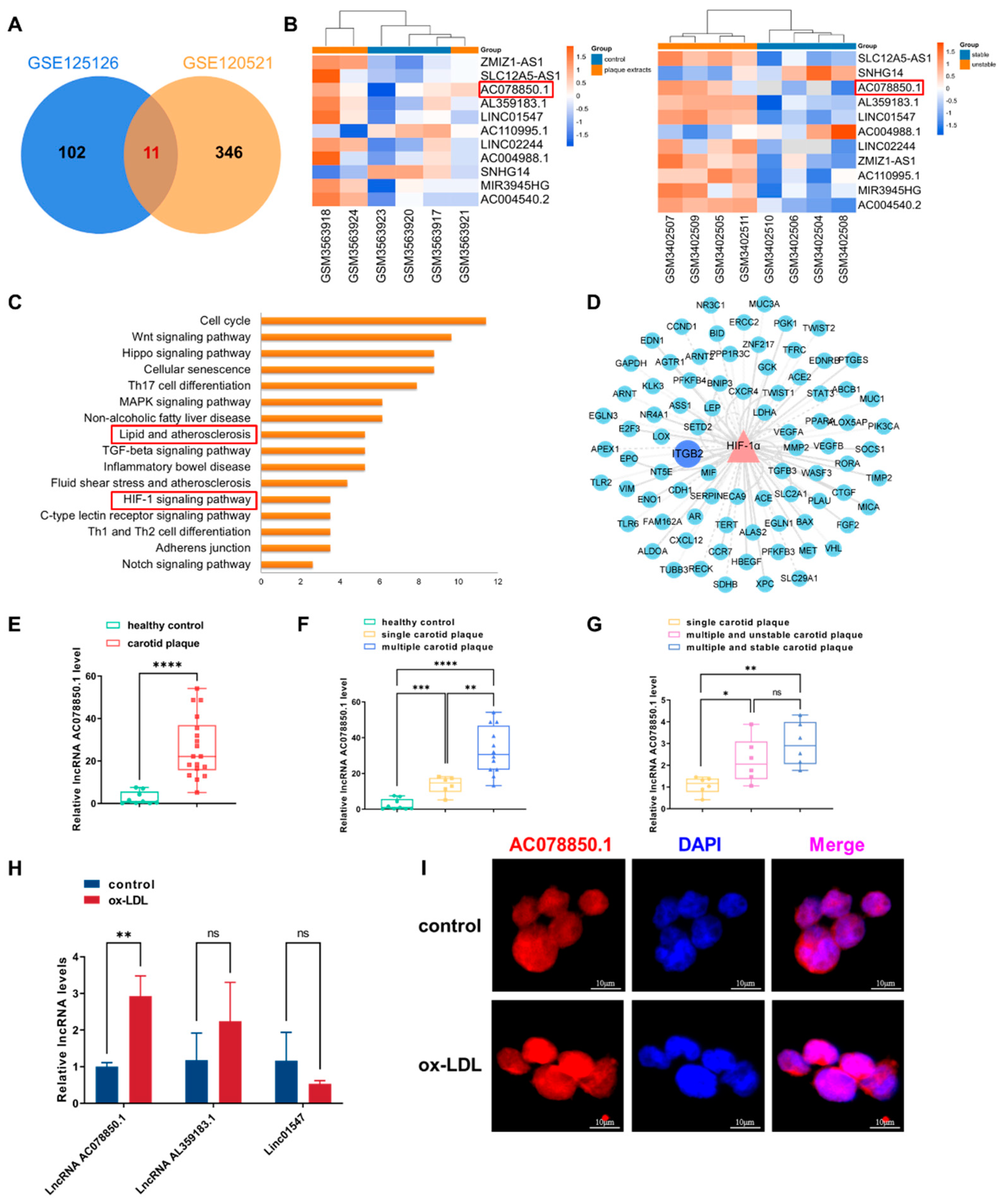 Biomedicines 11 01734 g001
