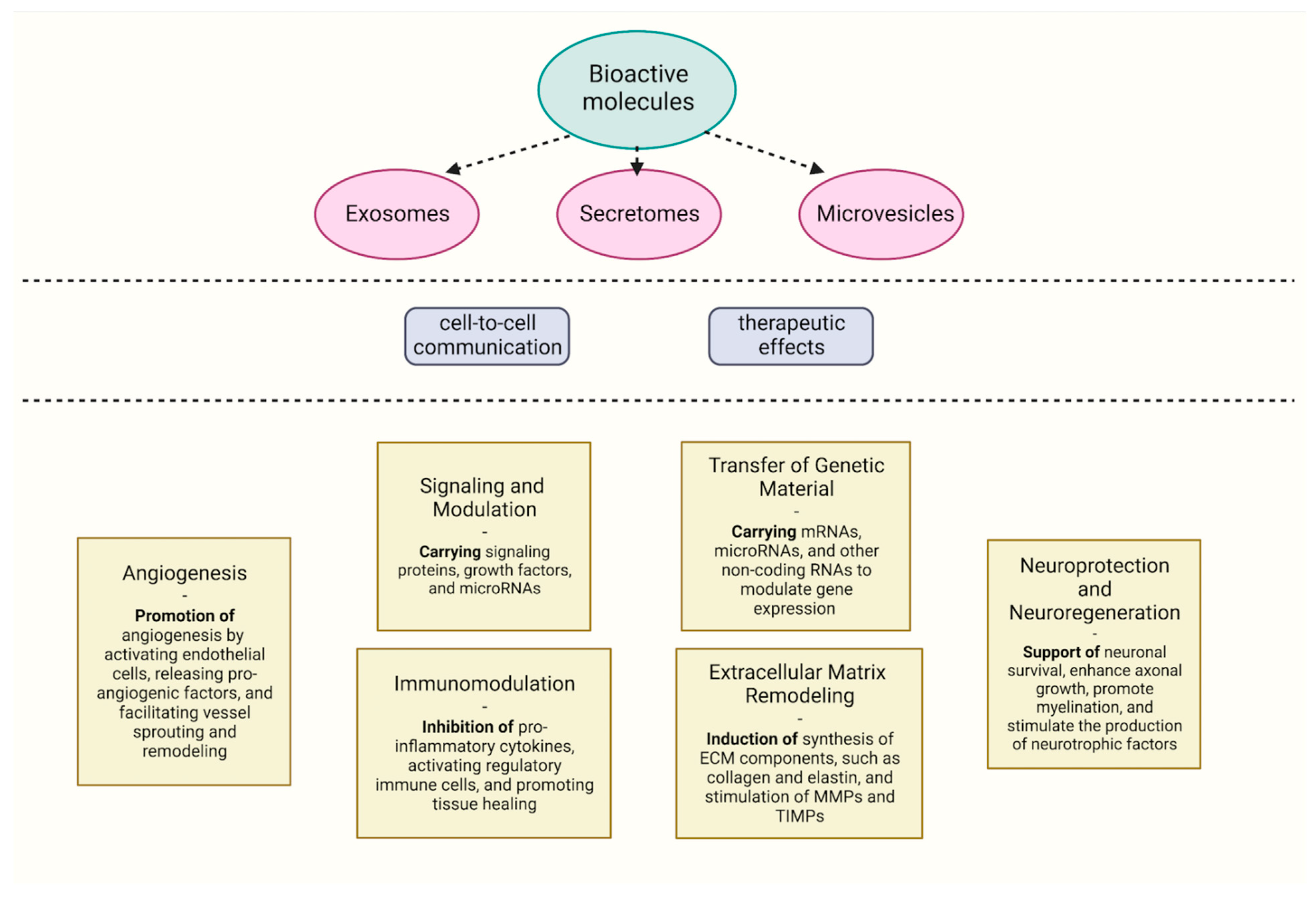 Biomedicines 11 01736 g001 Biomedicines 11 01736 g001