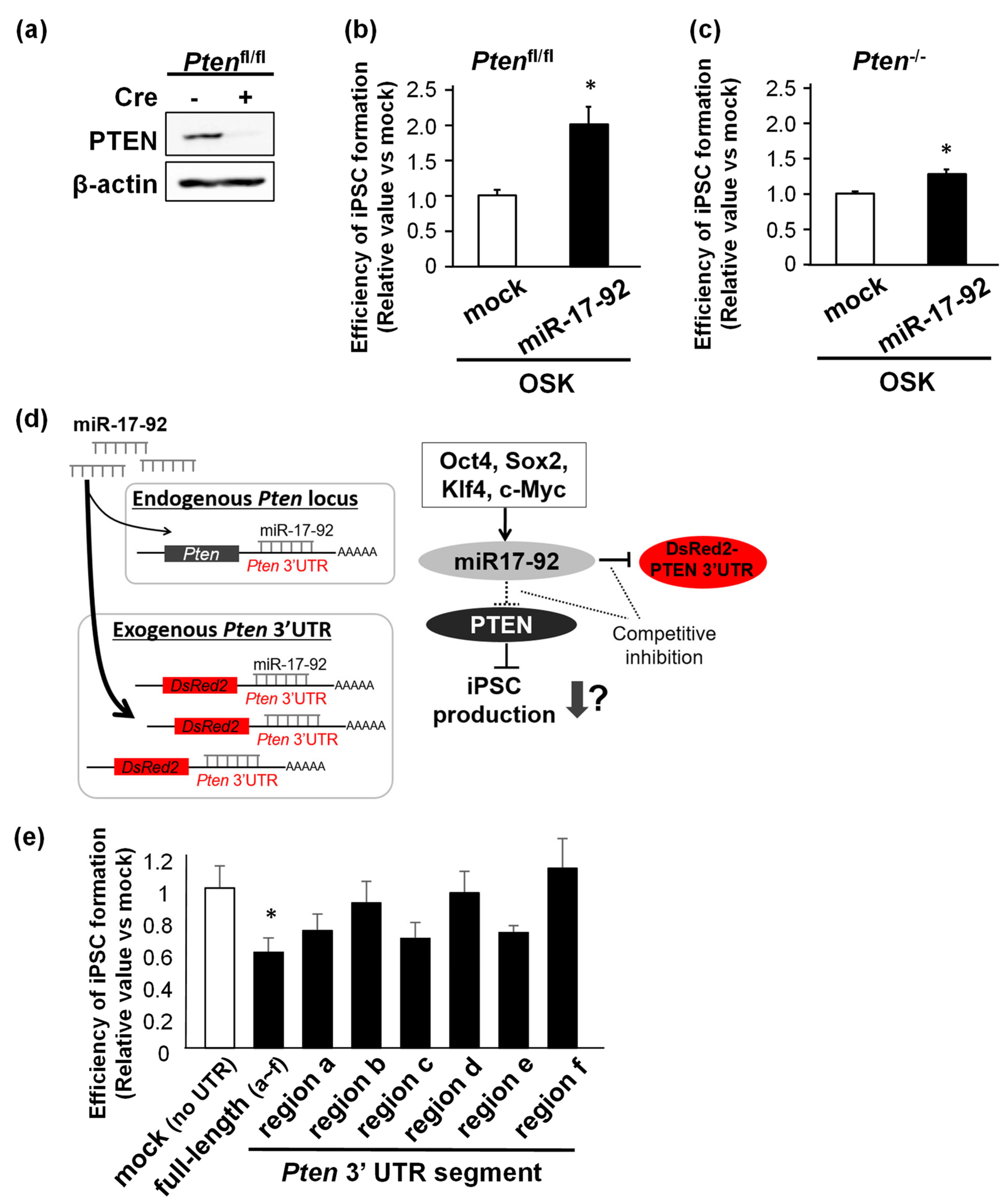 Biomedicines 11 01737 g005 Biomedicines 11 01737 g005