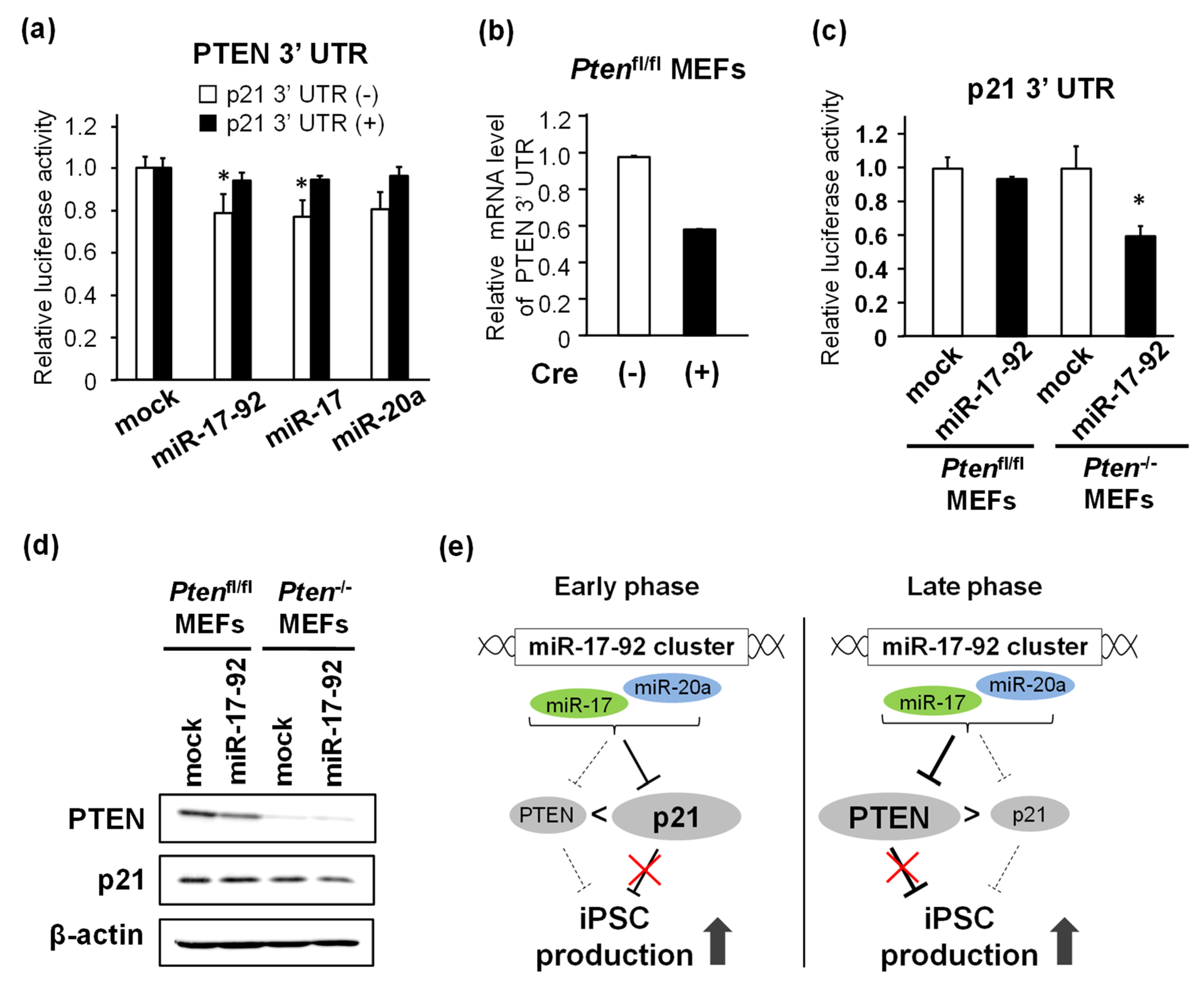 Biomedicines 11 01737 g006 Biomedicines 11 01737 g006