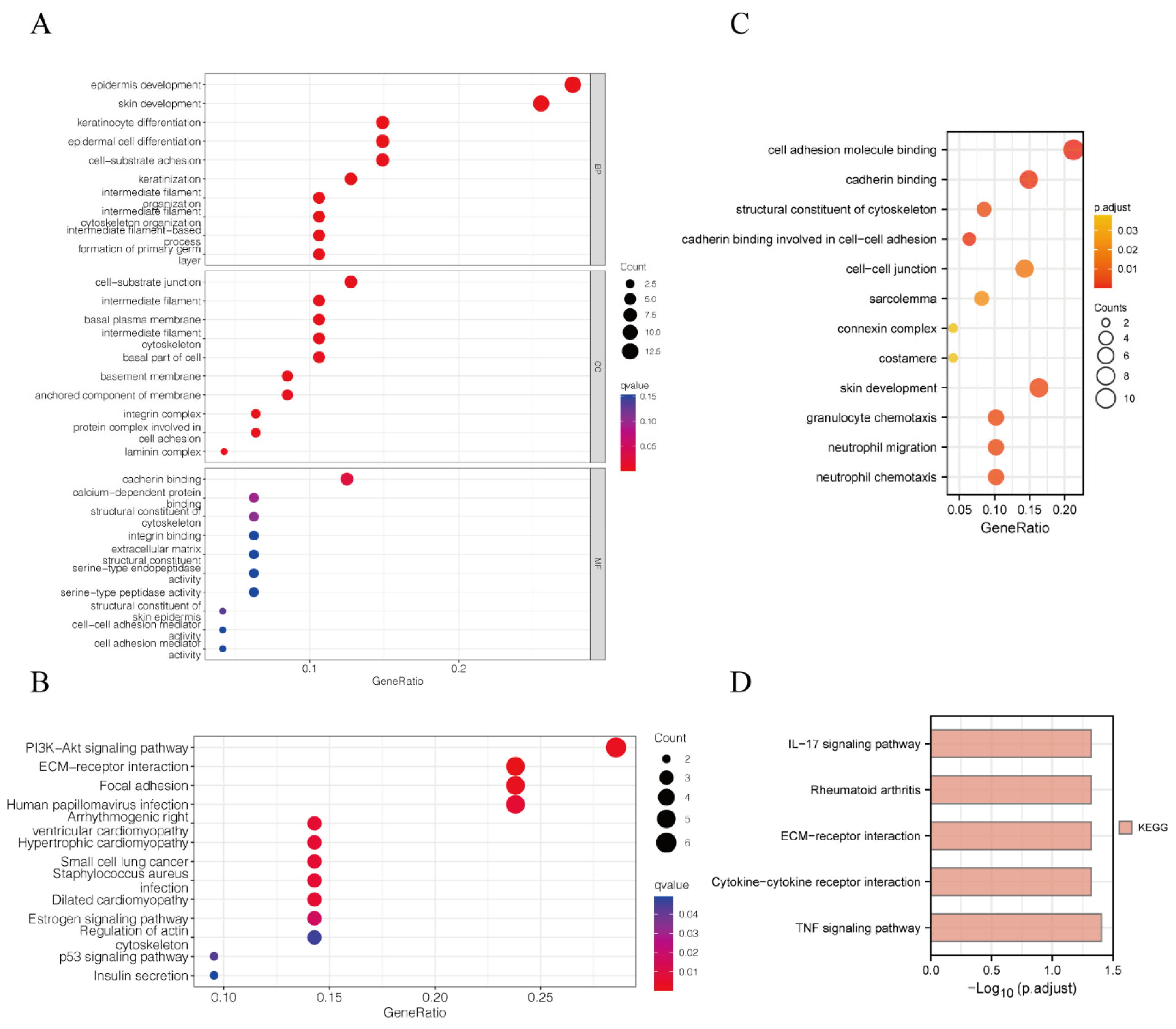 Biomedicines 11 01738 g004 Biomedicines 11 01738 g004