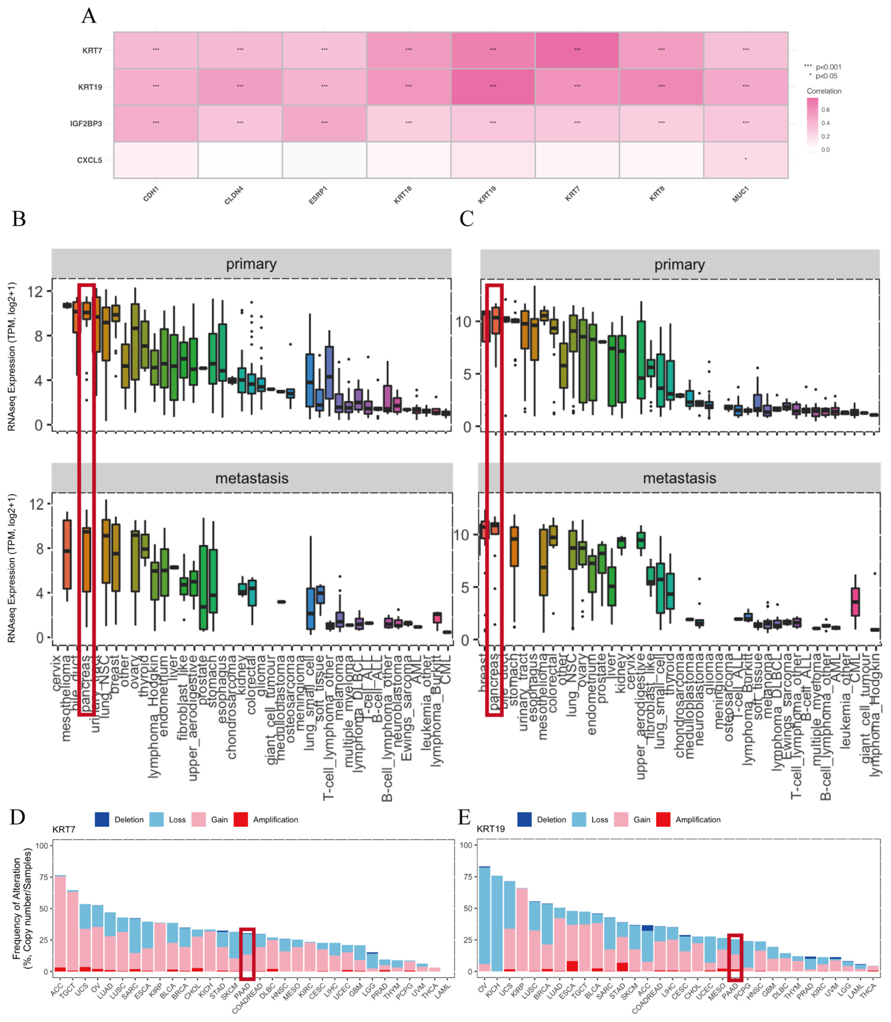 Biomedicines 11 01738 g005 Biomedicines 11 01738 g005