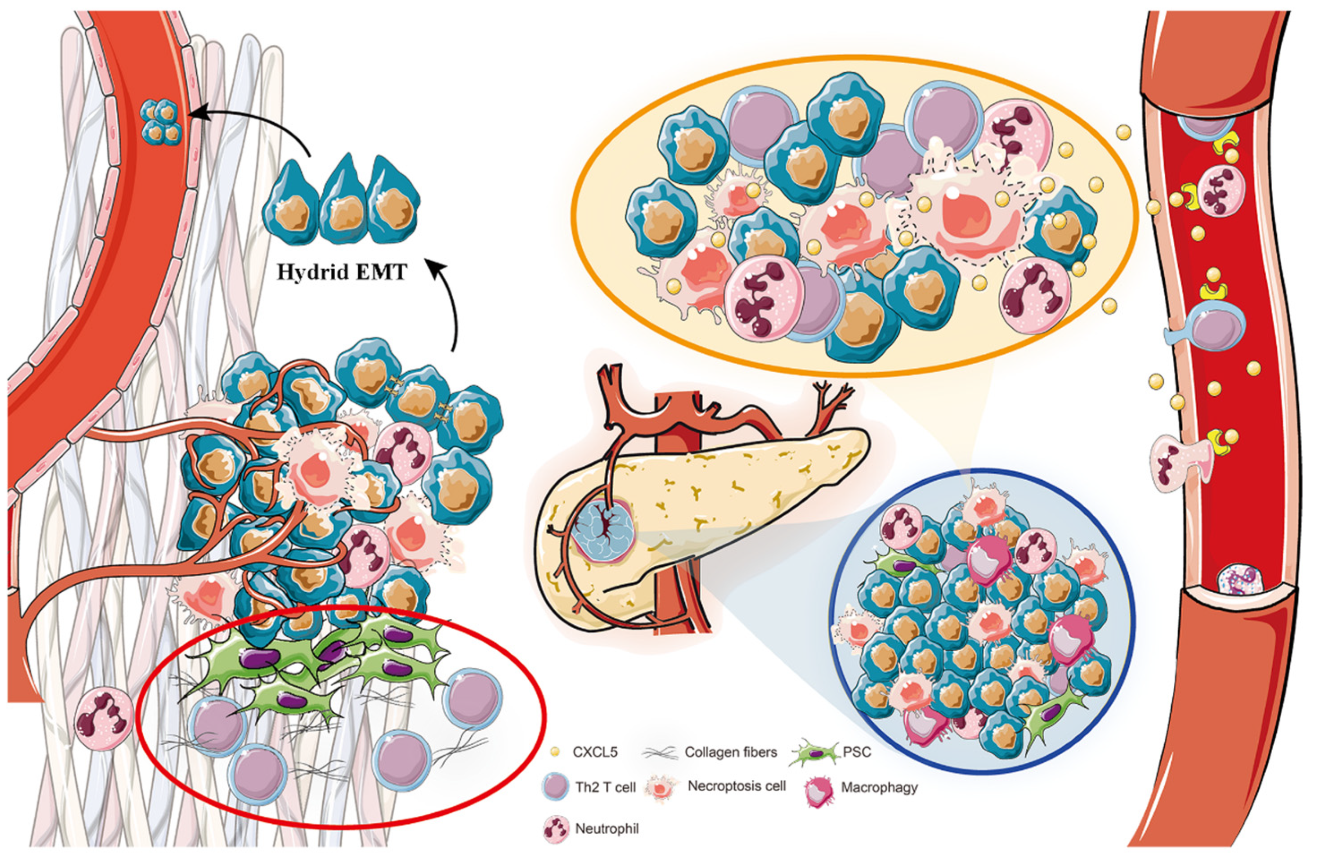 Biomedicines 11 01738 g008 Biomedicines 11 01738 g008