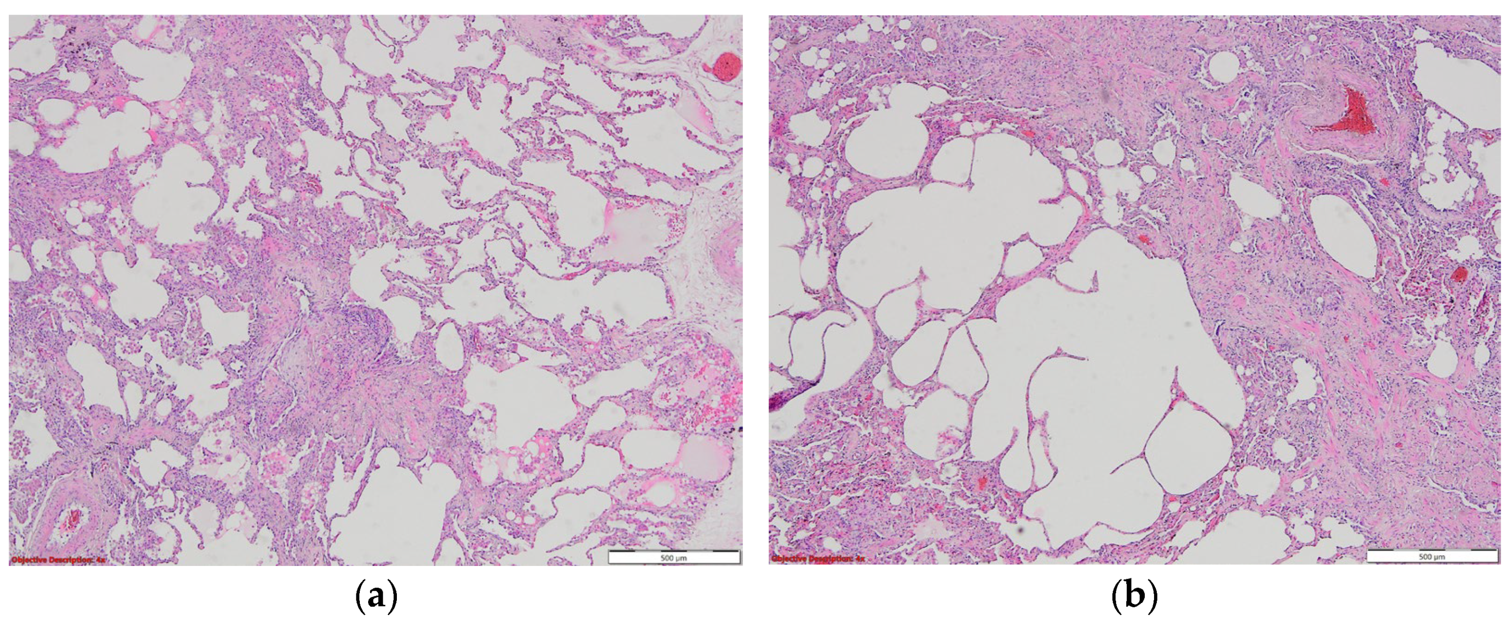 Biomedicines 11 01739 g007 Biomedicines 11 01739 g007