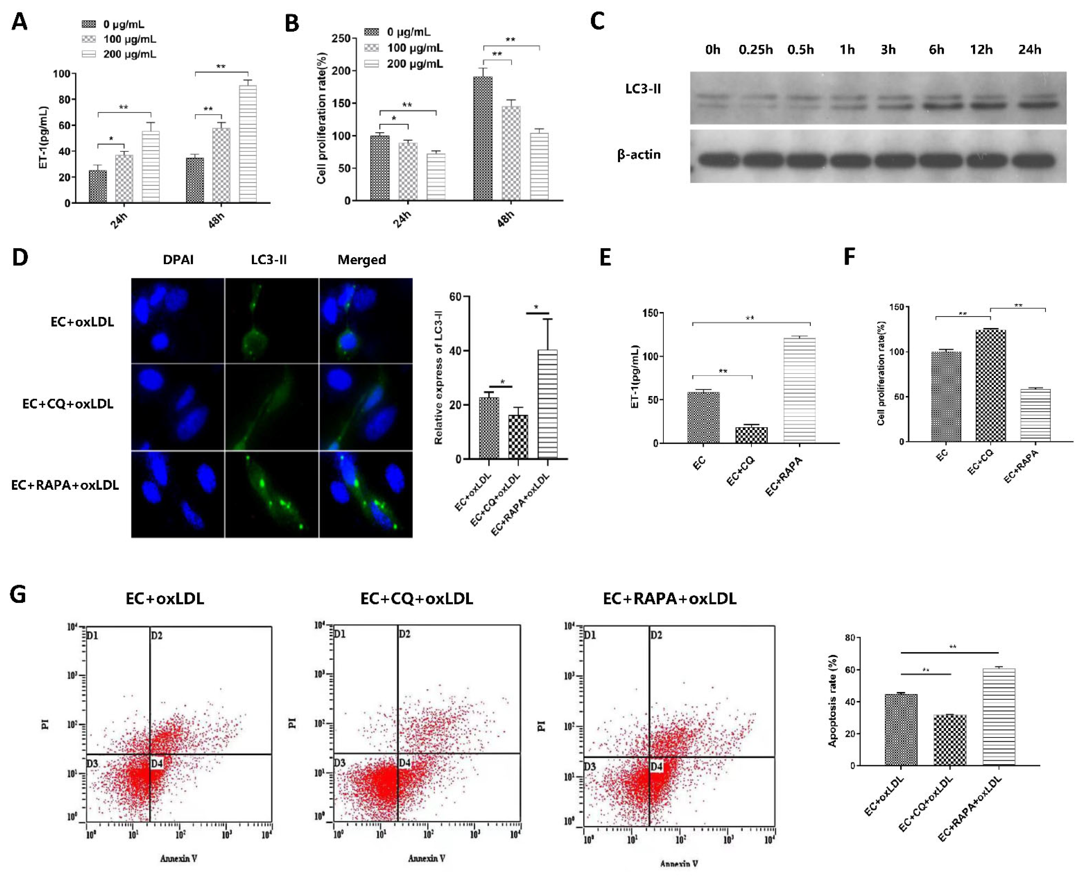 Biomedicines 11 01743 g002