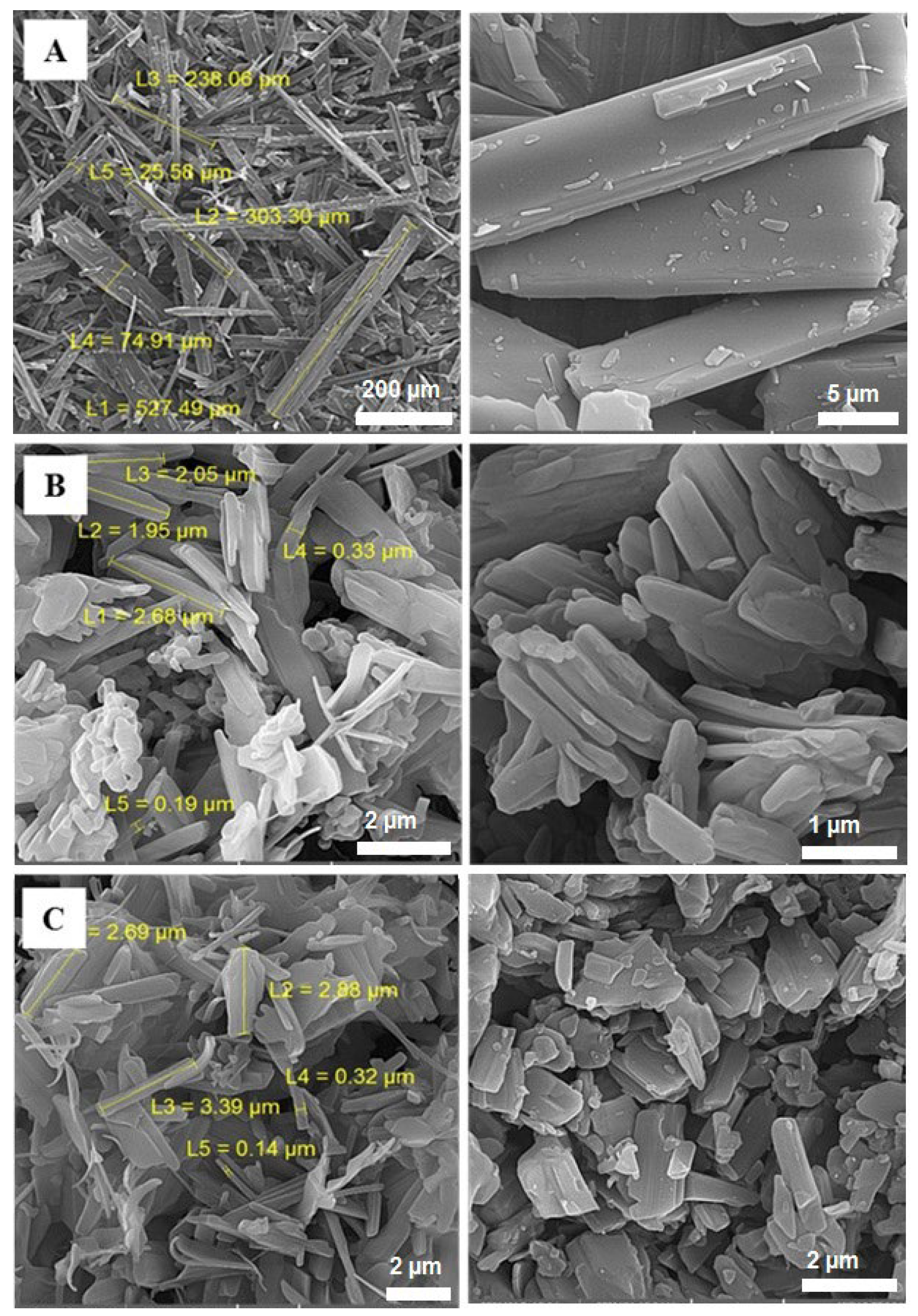 Biomedicines 11 01747 g002 Biomedicines 11 01747 g002