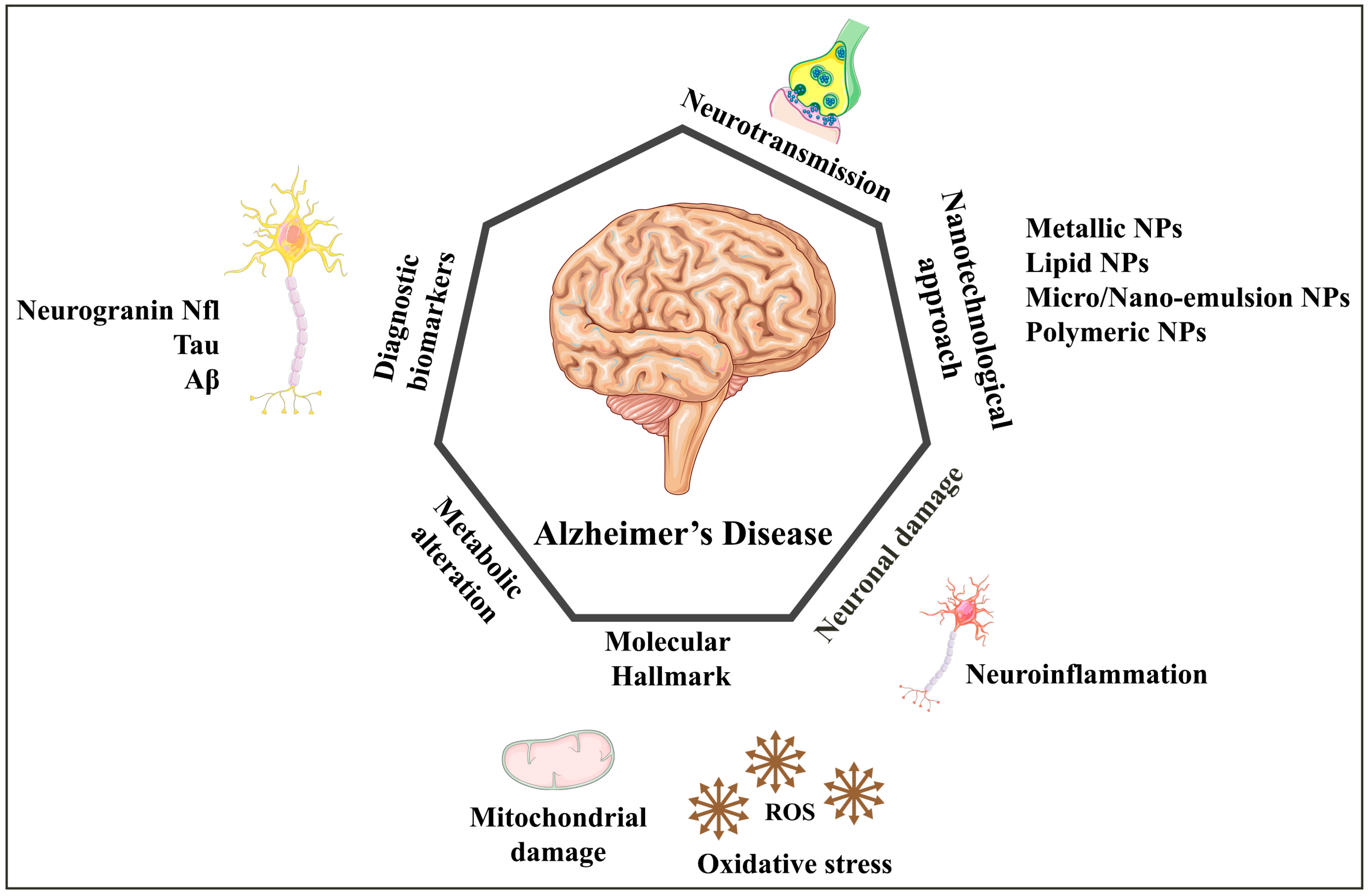 Biomedicines 11 01752 g001 Biomedicines 11 01752 g001