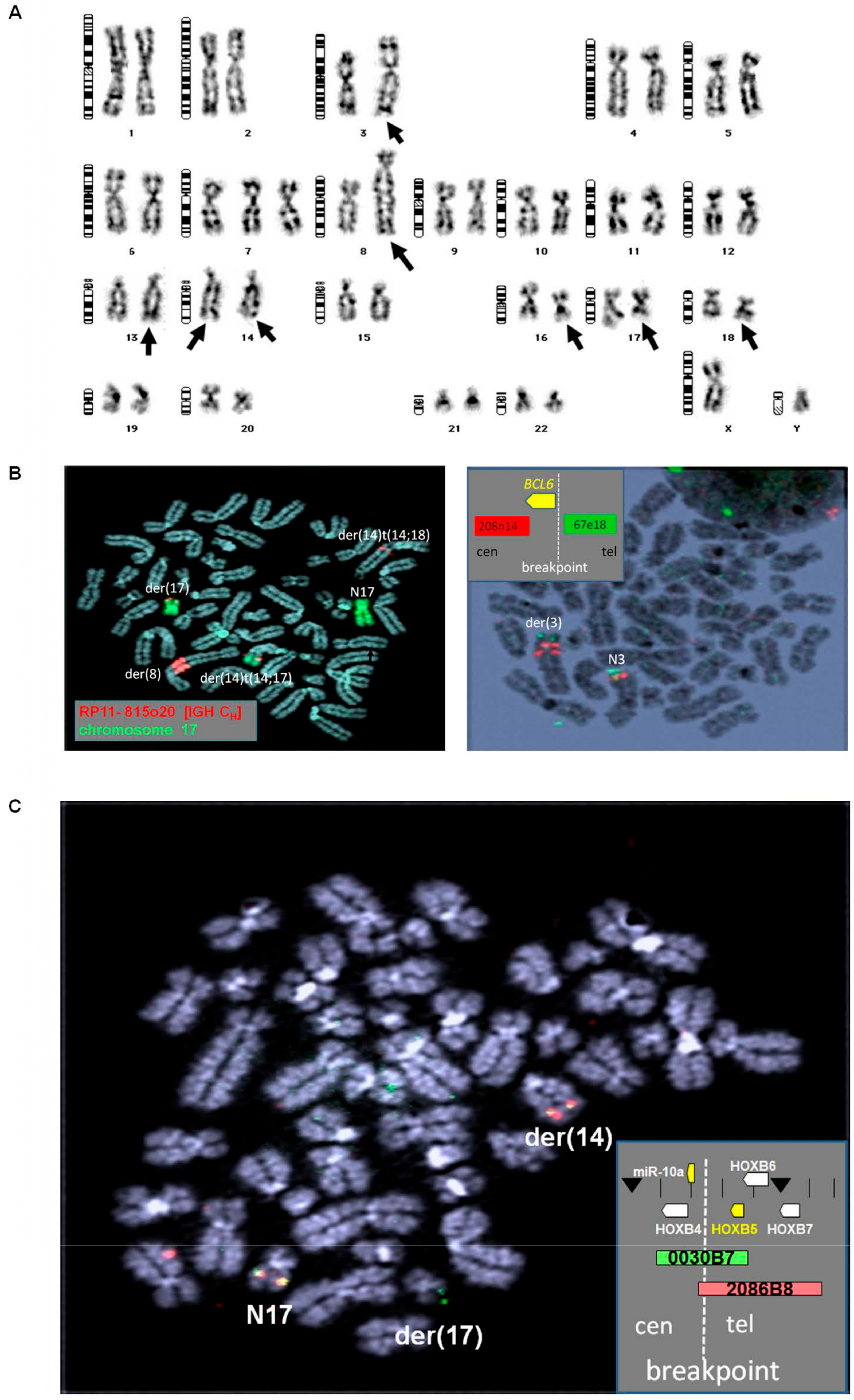 Biomedicines 11 01758 g001 Biomedicines 11 01758 g001