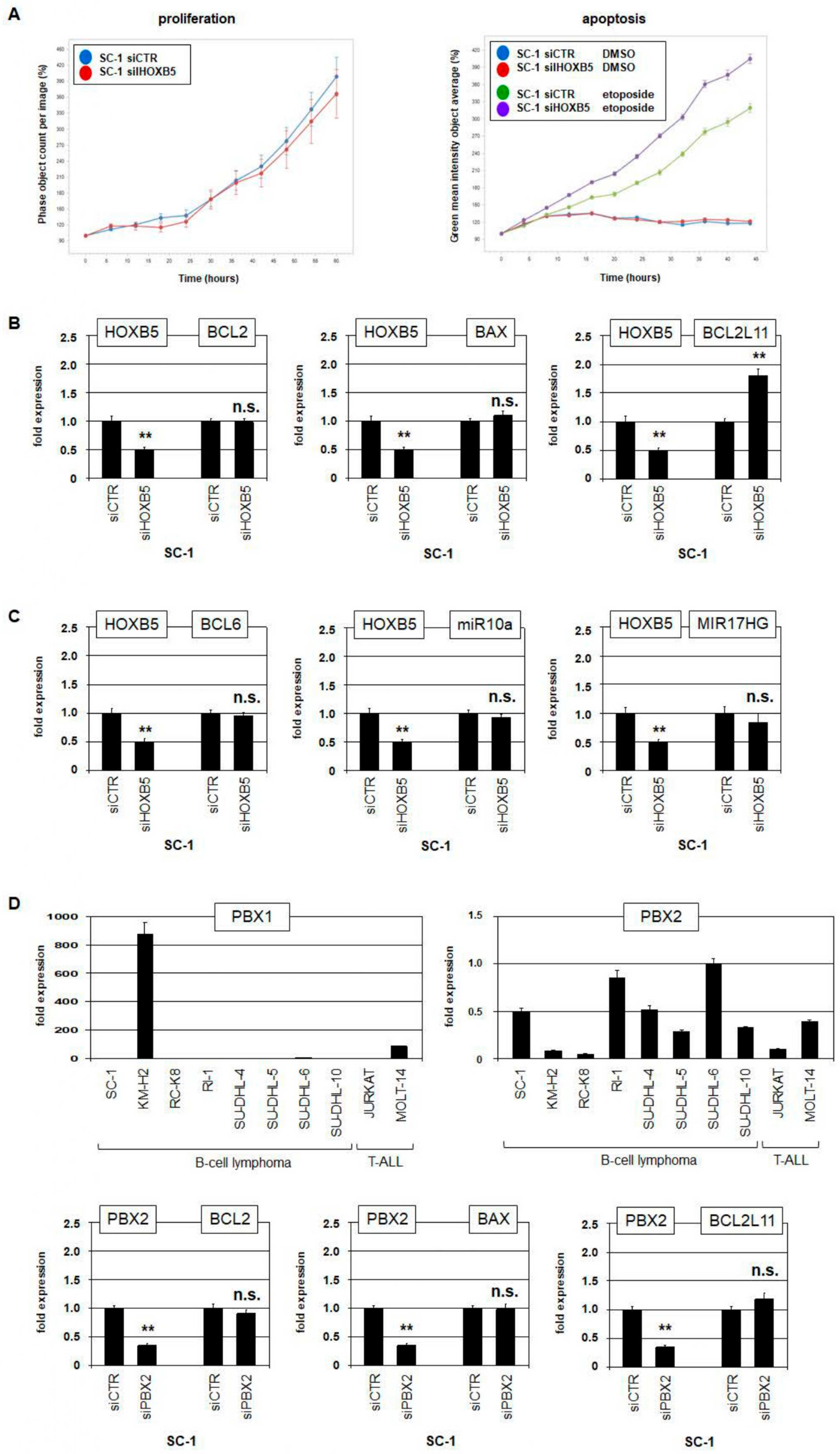 Biomedicines 11 01758 g005 Biomedicines 11 01758 g005